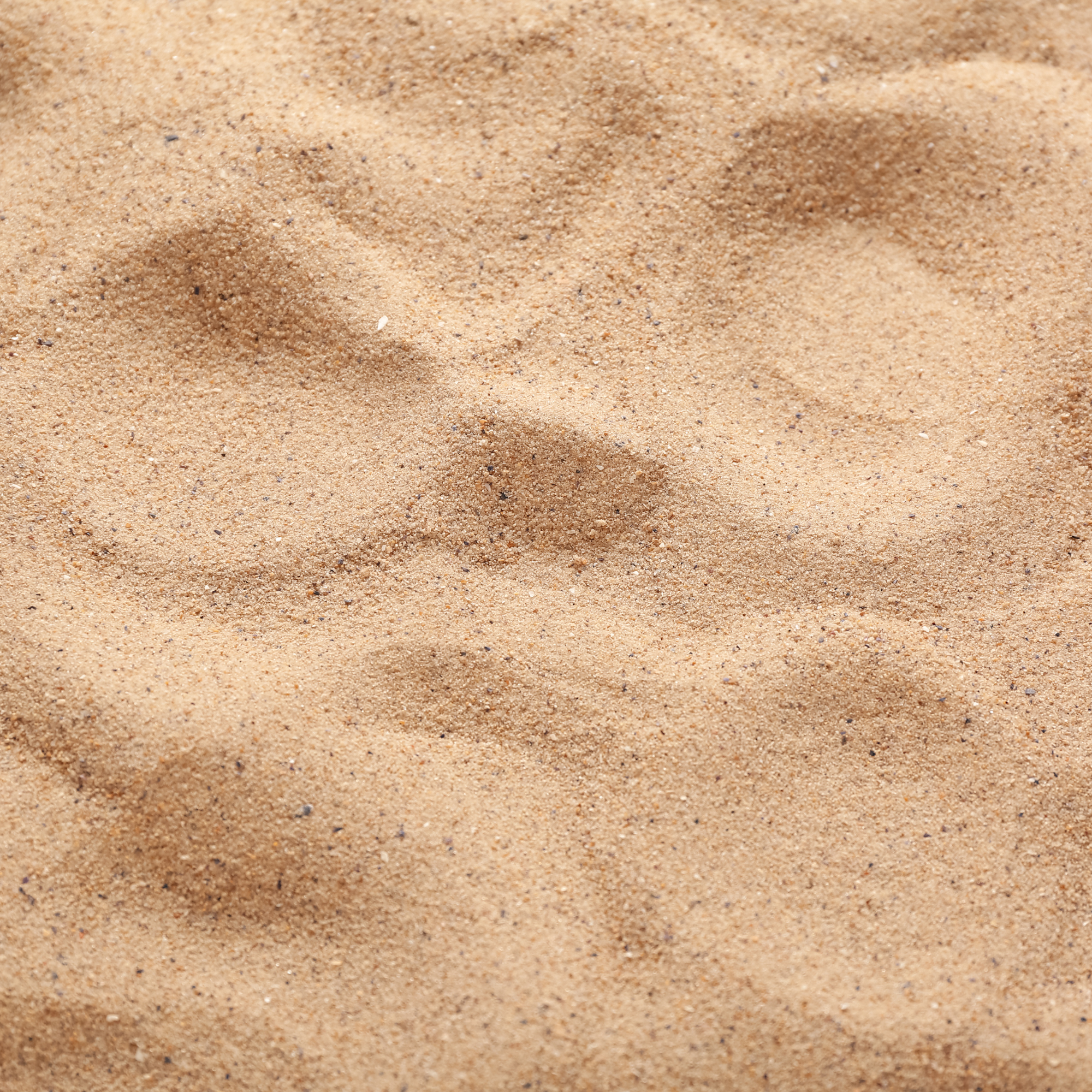 Close-up of a sandy surface with small grains of sand and tiny pebbles.