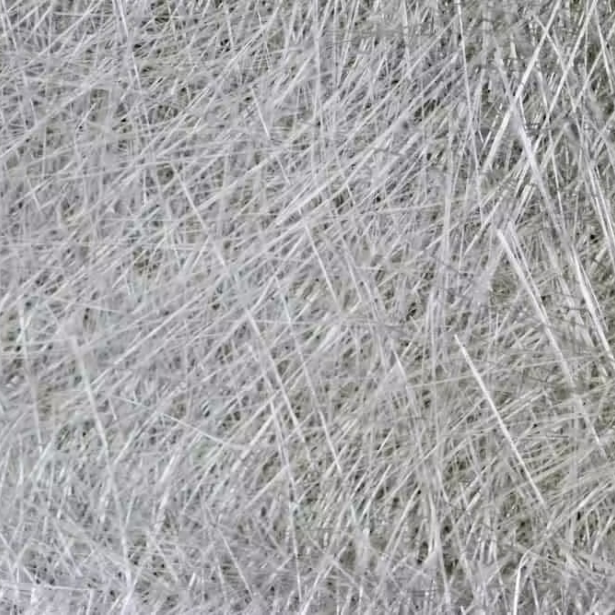 Close-up of a dense patch of light-colored dry grass or straw.