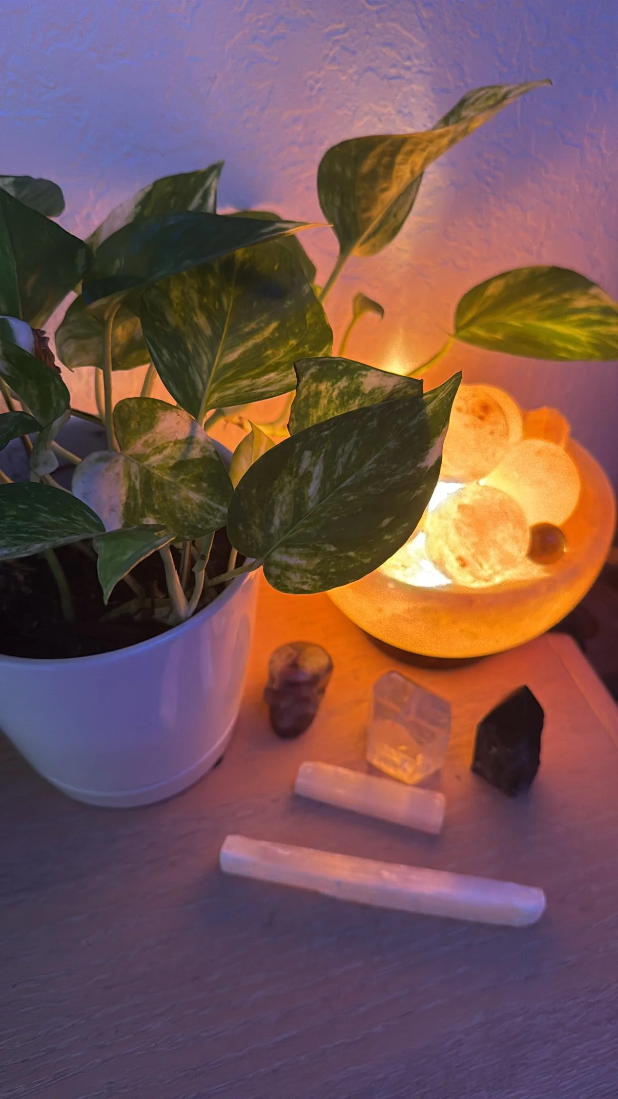 Indoor scene with a potted green leafy plant and a carved lemon-shaped lamp emitting warm light, surrounded by crystals and small stones on a wooden surface.