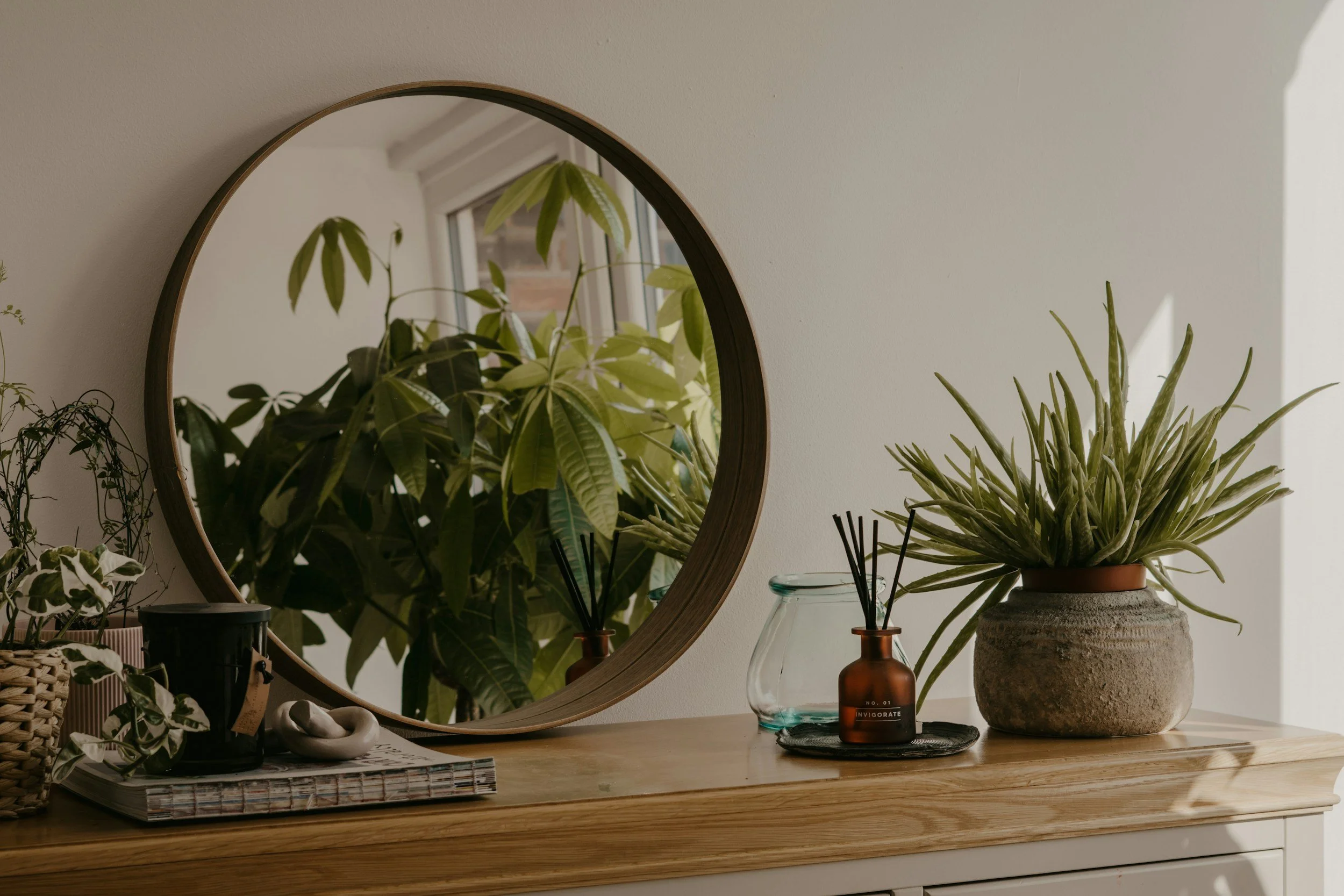 Decorative mirror with potted plants and mason jar on a wooden surface