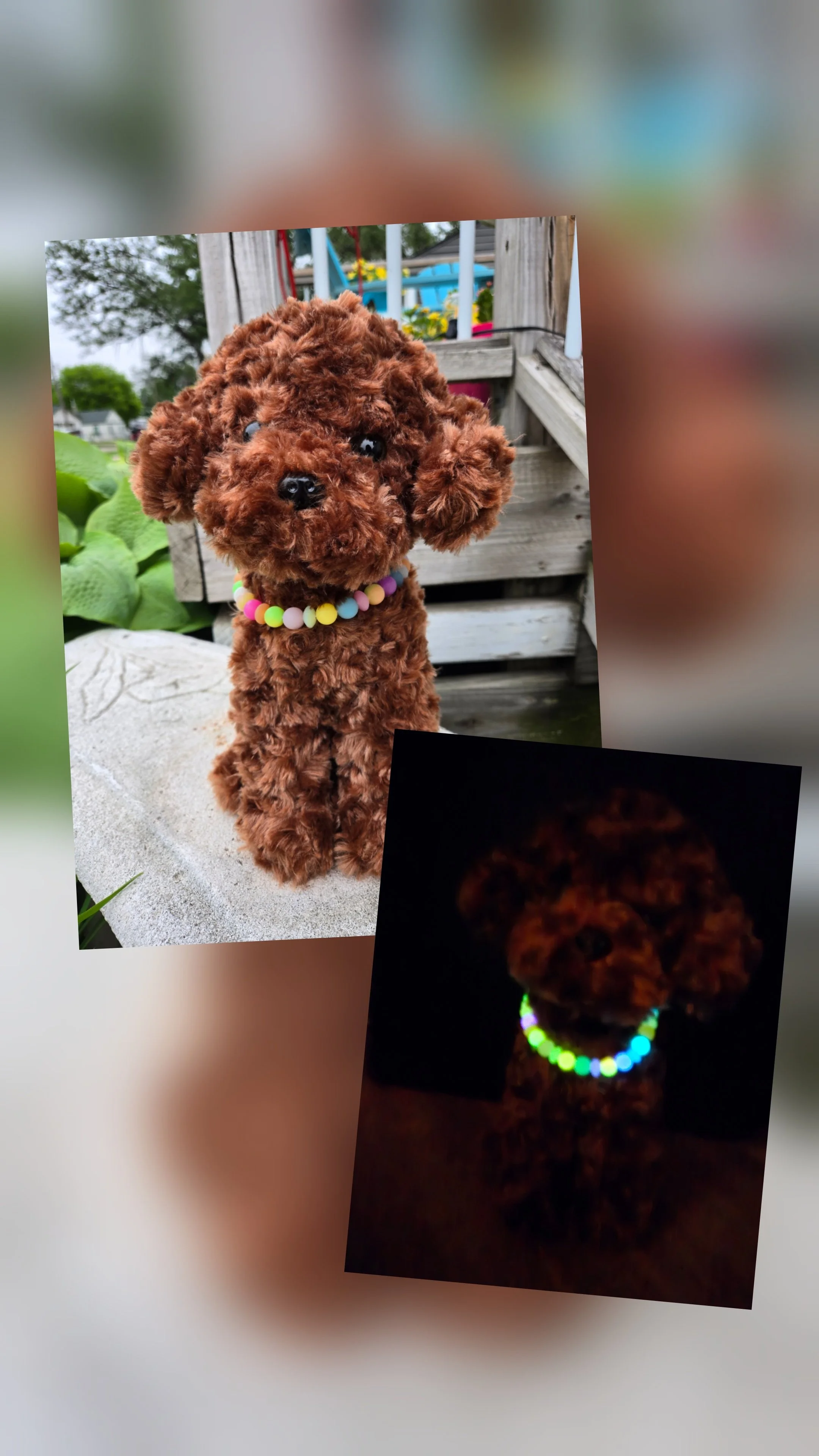 A small brown fluffy dog with a black nose and eyes, wearing a colorful bead necklace. The picture shows the dog in daylight and at night, with the night shot highlighting the glow of the necklace in the dark.