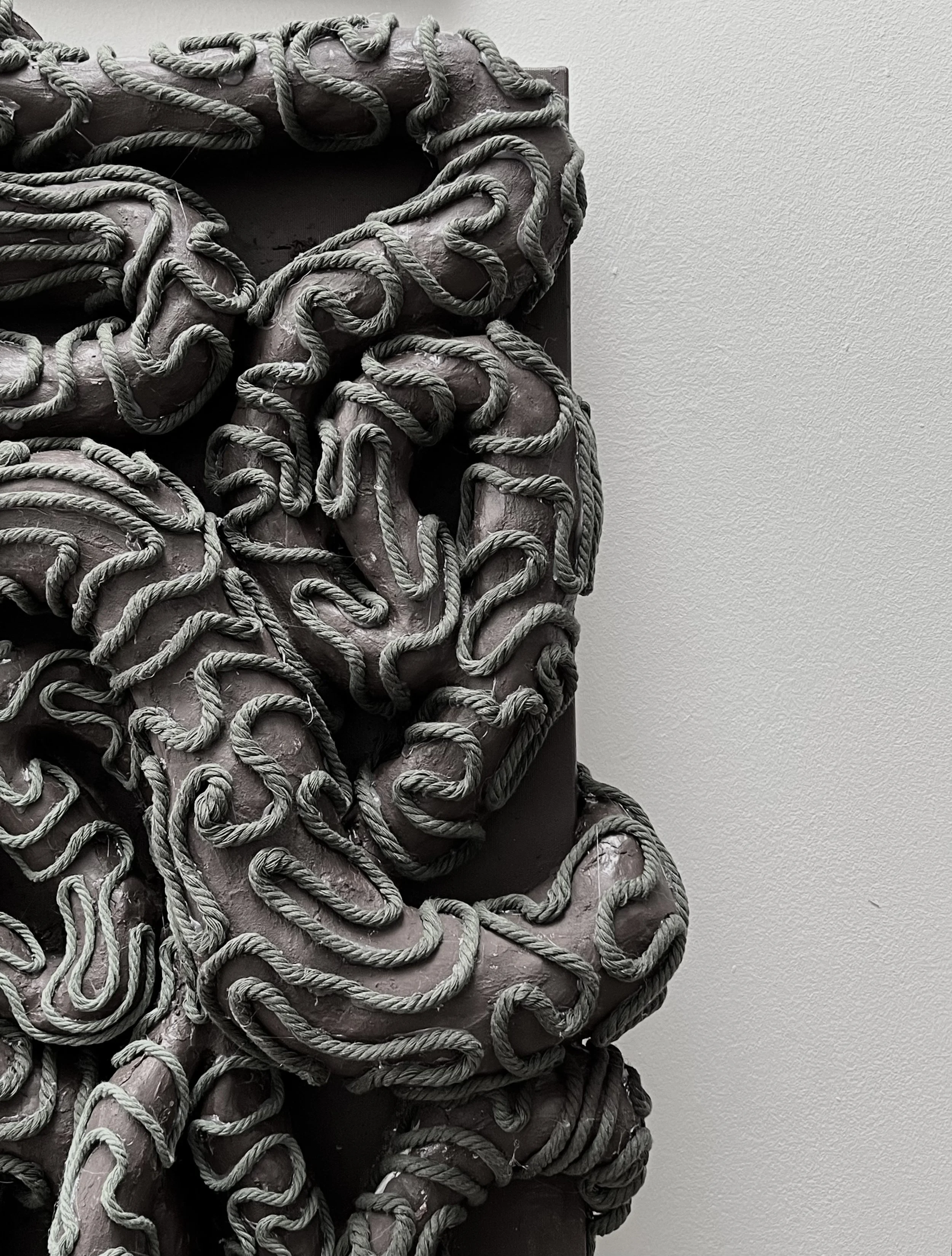 Close-up of a sculpture or artwork featuring numerous intertwined, textured ropes covering a figure, with a plain light-colored wall background.