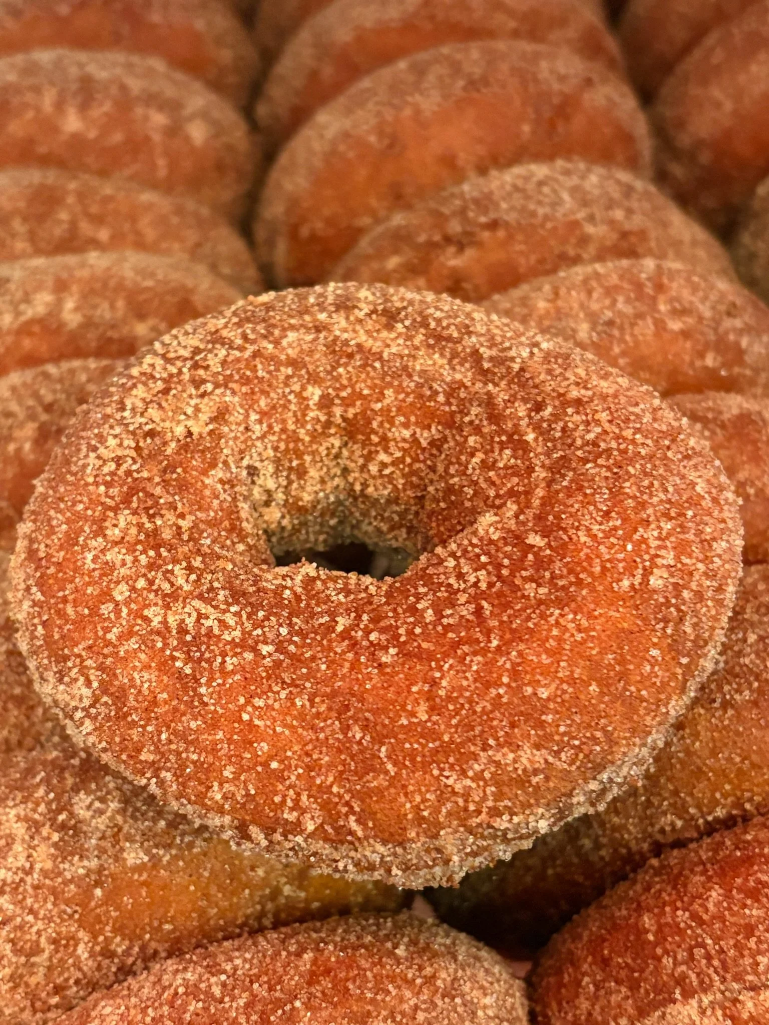 Apple Barn Cider Donuts