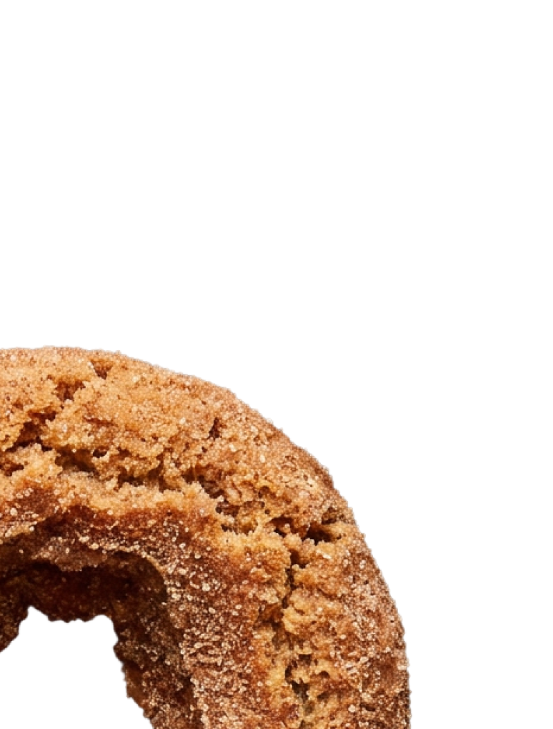 Close-up of a cinnamon sugar coated donut.