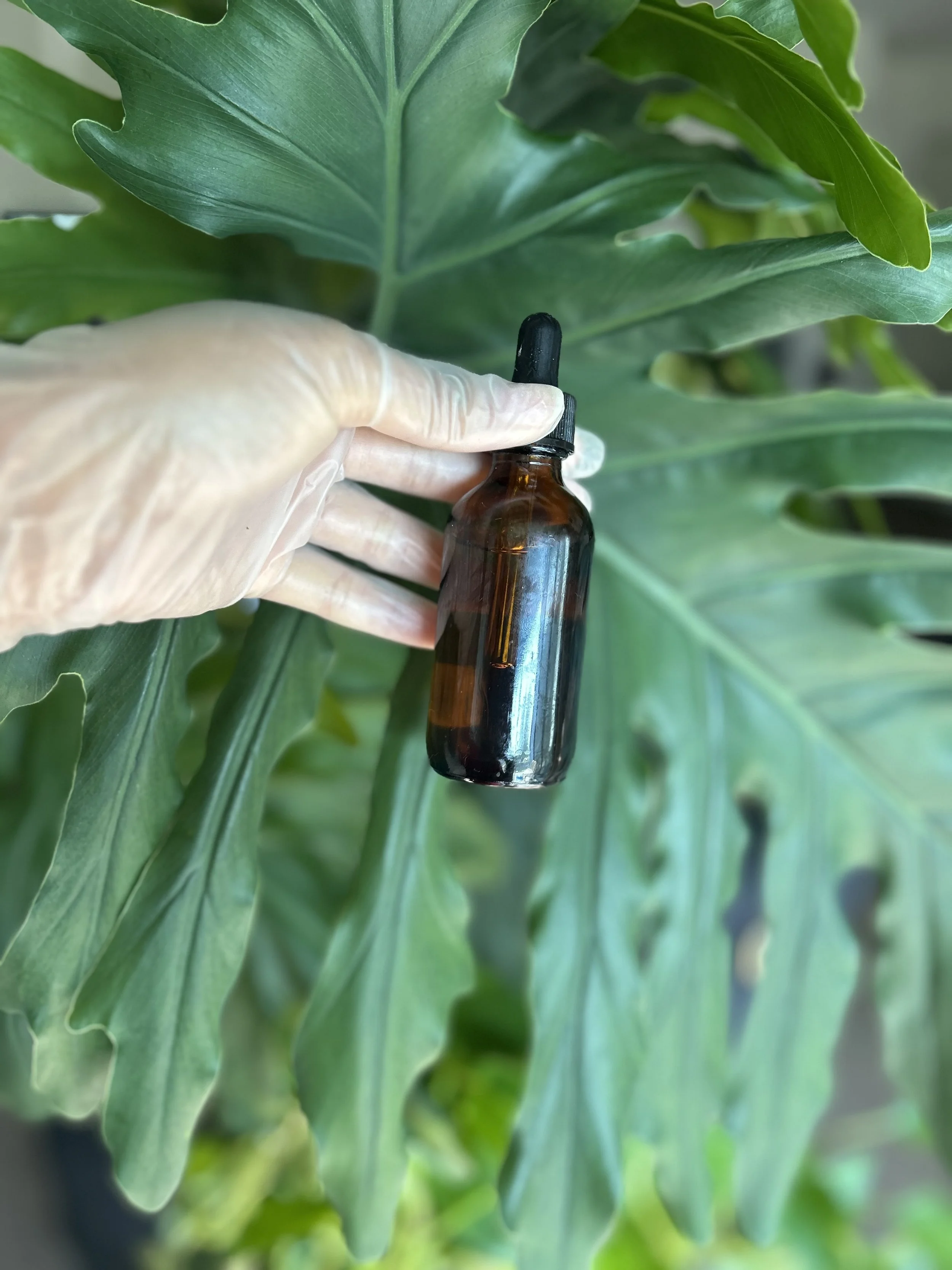 Sacred Roots Elixir (2oz)