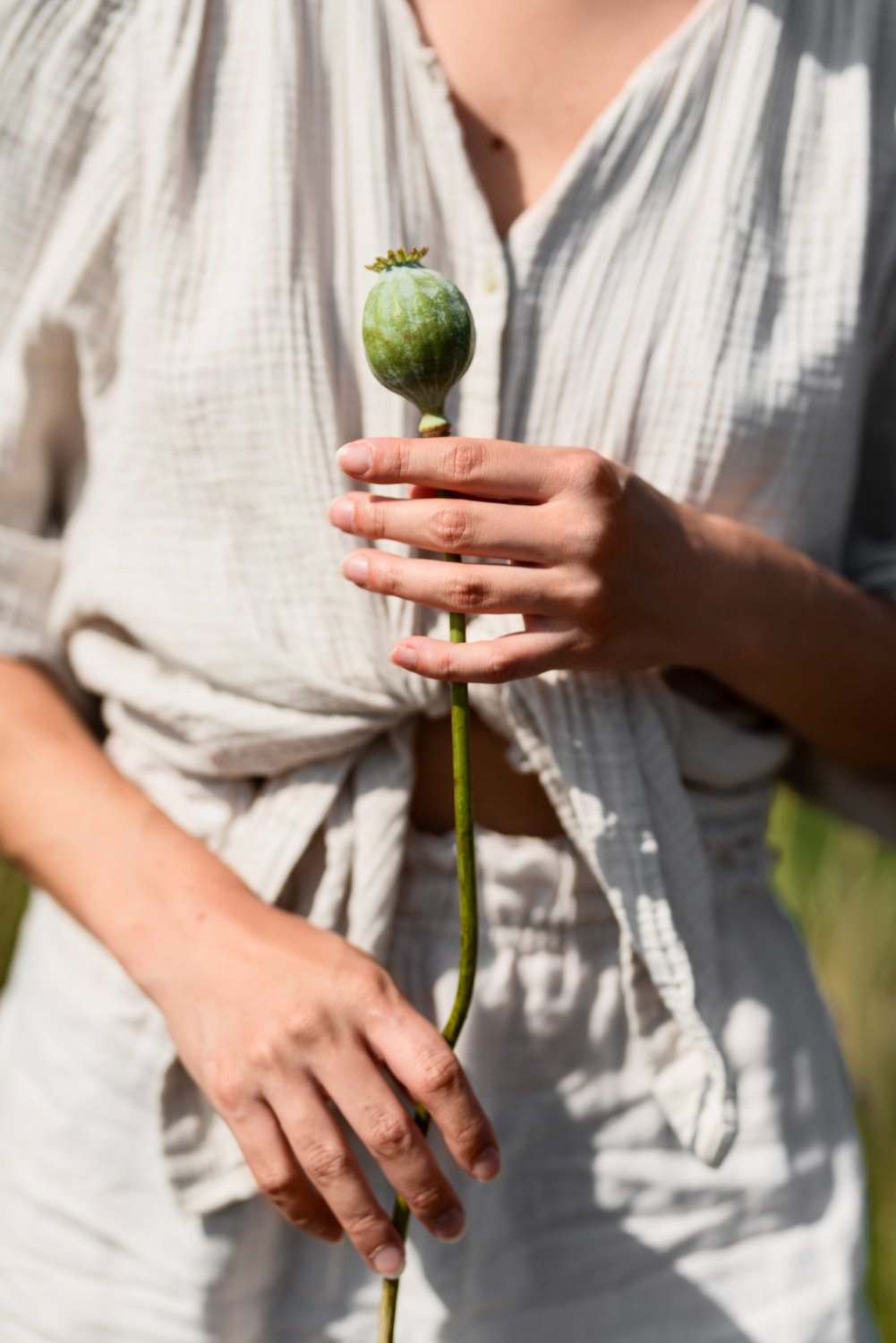 Person holding a green botanical stem — representing mindful, body-centered somatic therapy and healing in Ogden, Utah