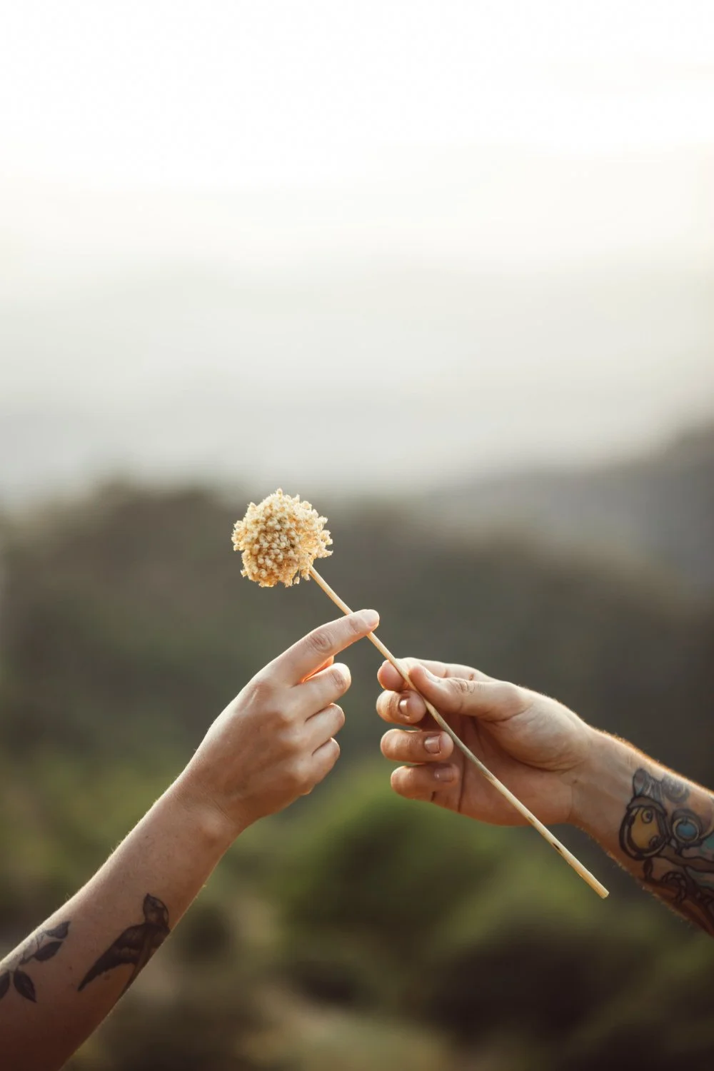Two people sharing a moment of connection — representing the warmth and partnership at the heart of therapy in Ogden, Utah