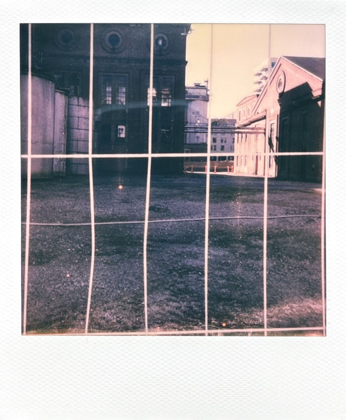 Polaroid Collection