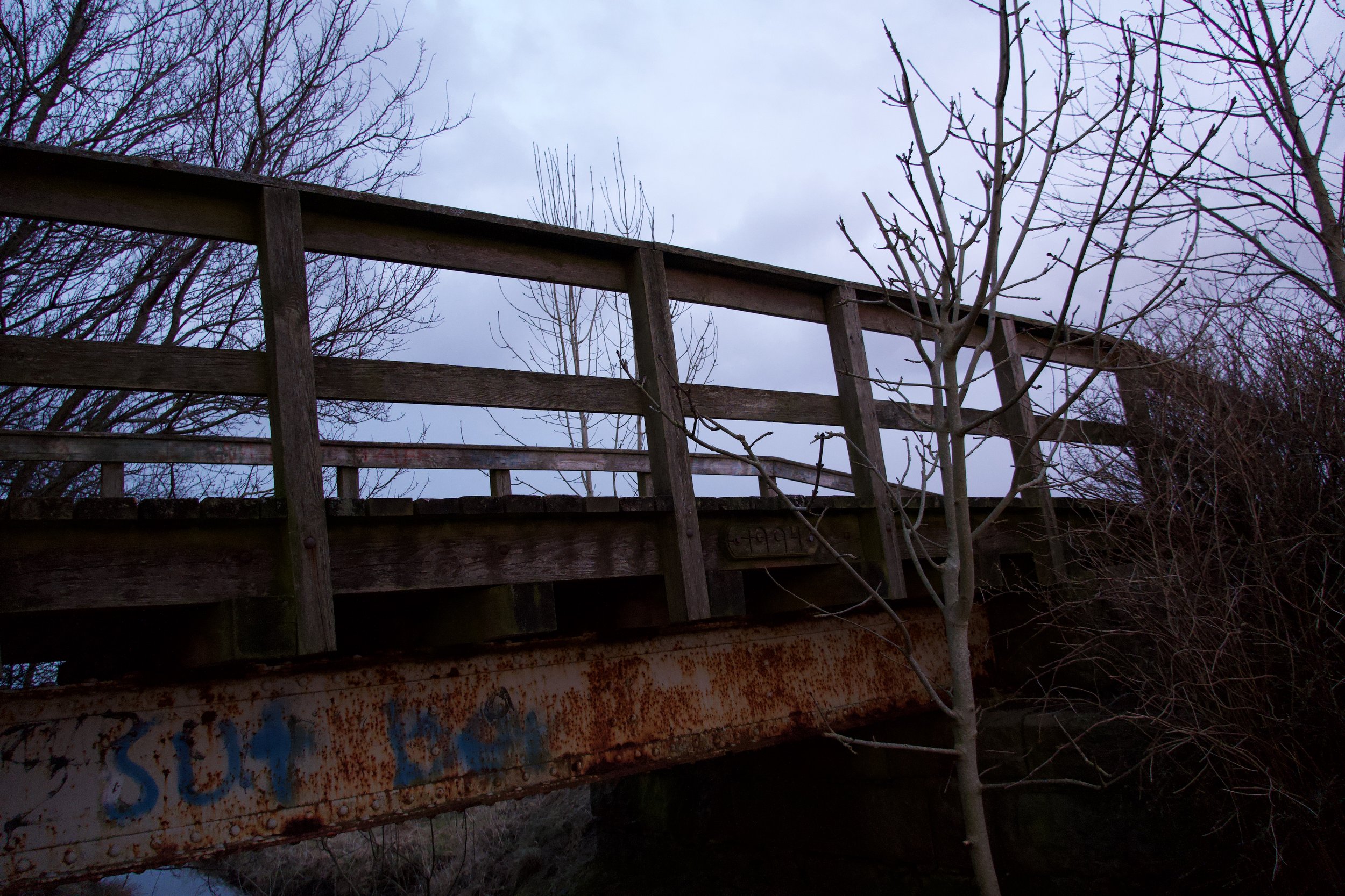 DSC00324.jpeg
