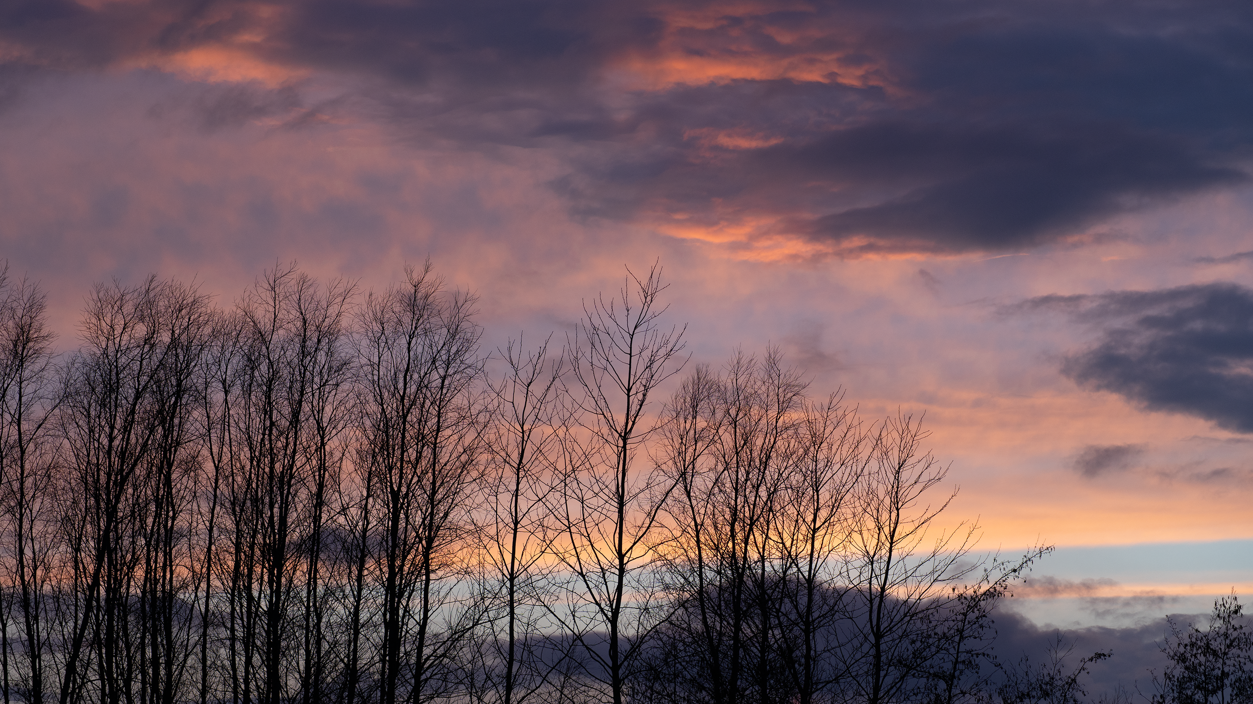 DSC00307.png