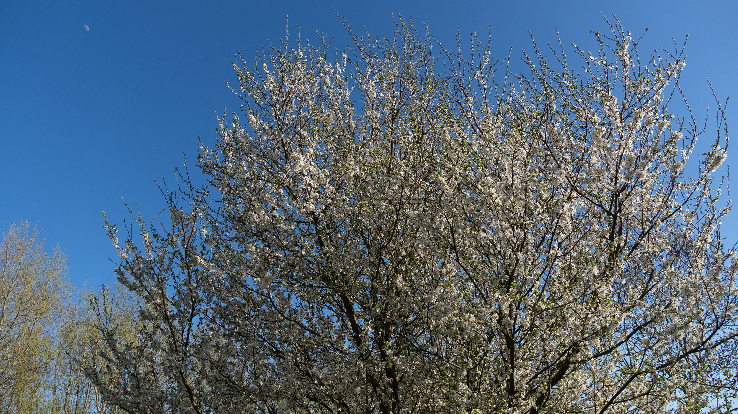 DSC00391.png