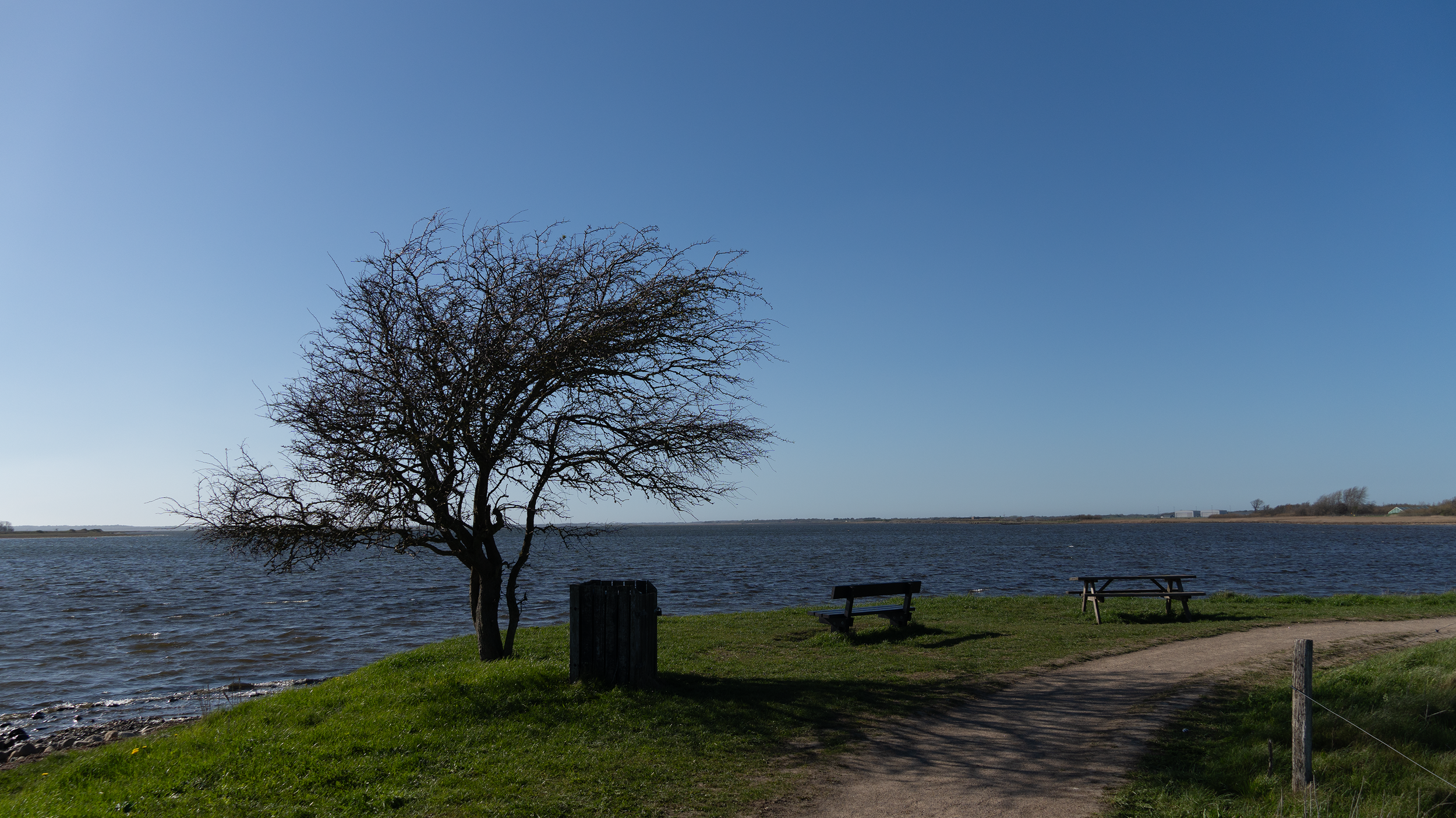 DSC00388.png