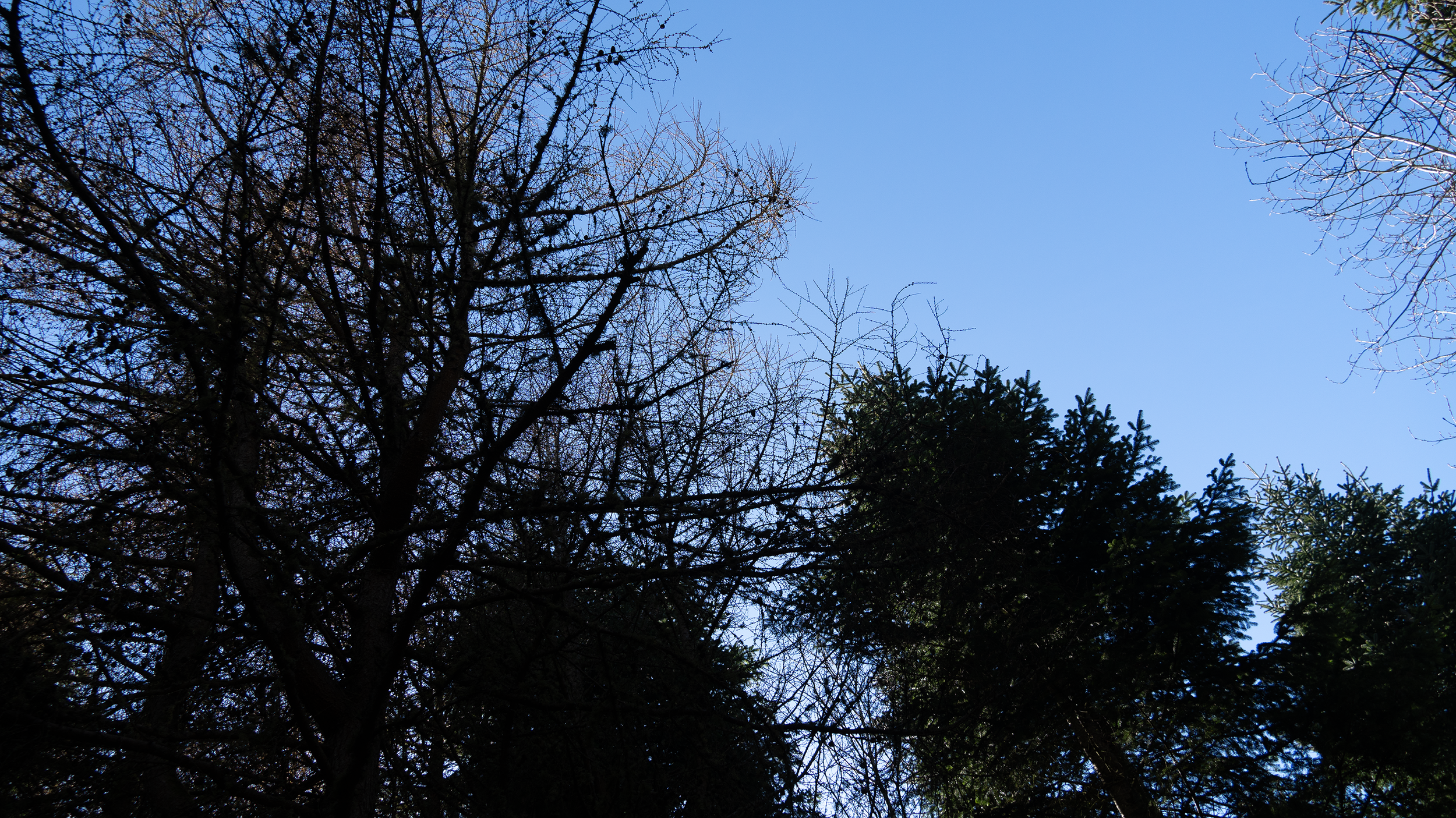DSC00335.png
