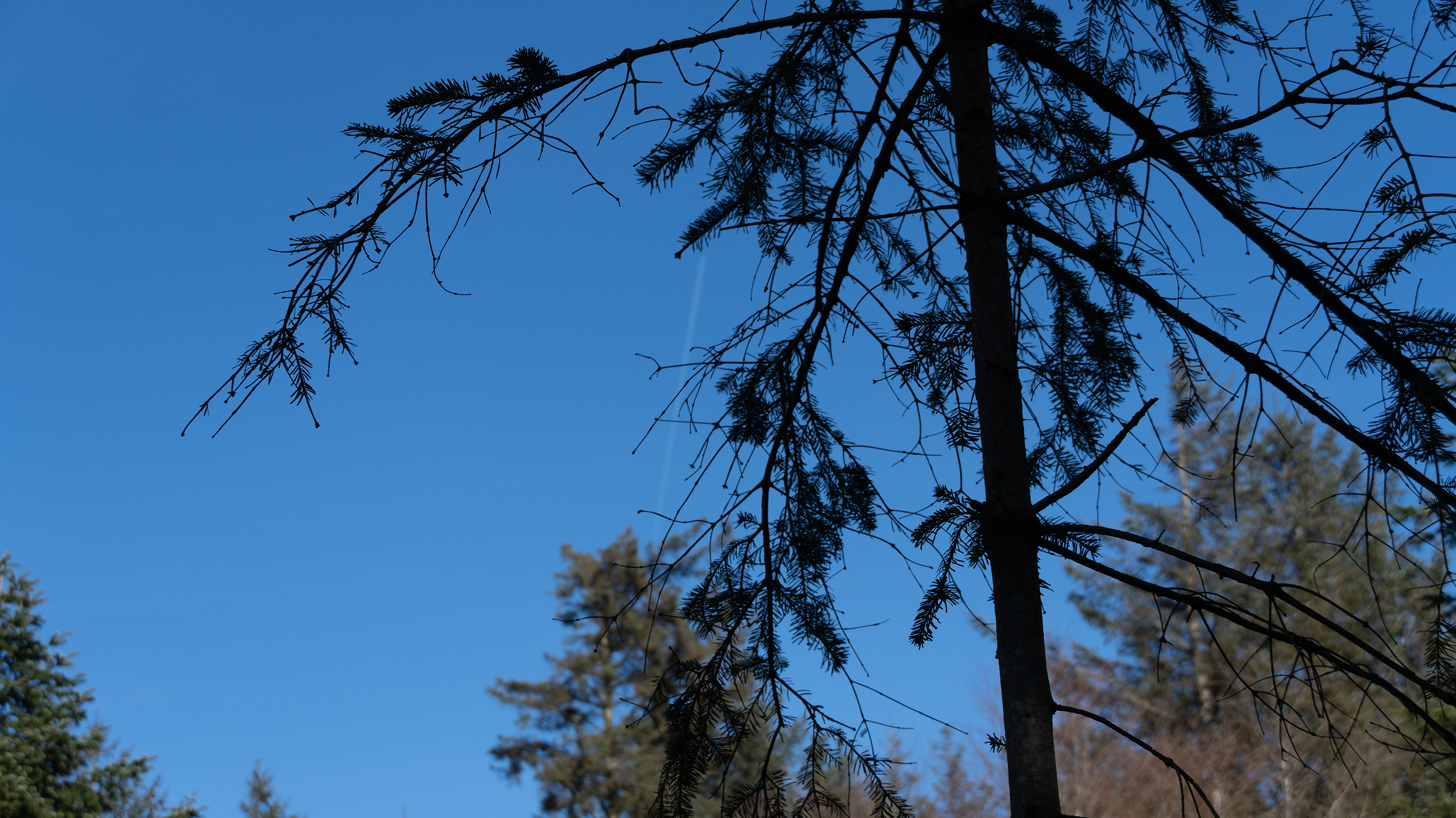 DSC00351.png