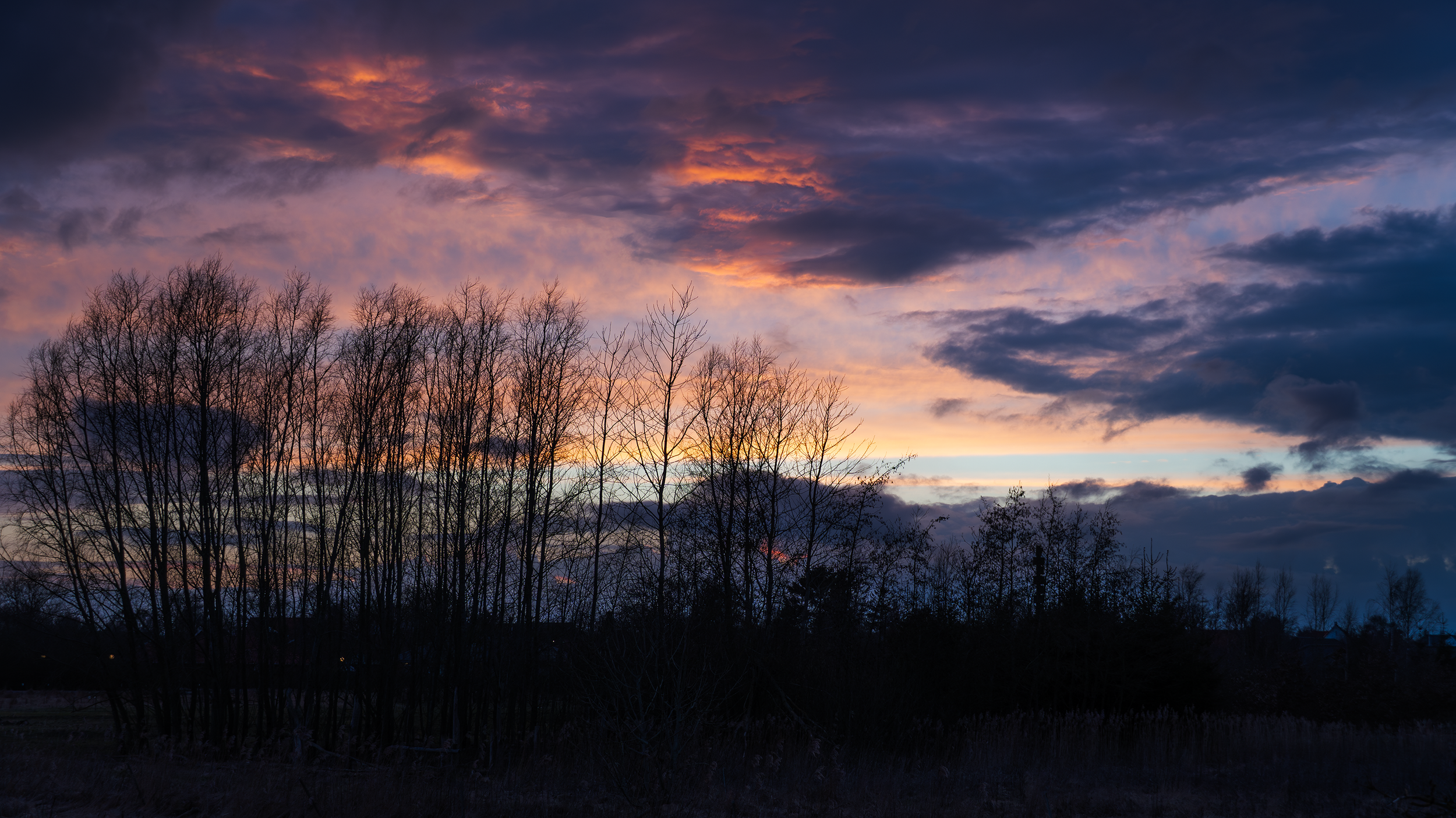 20260314-DSC00302.png
