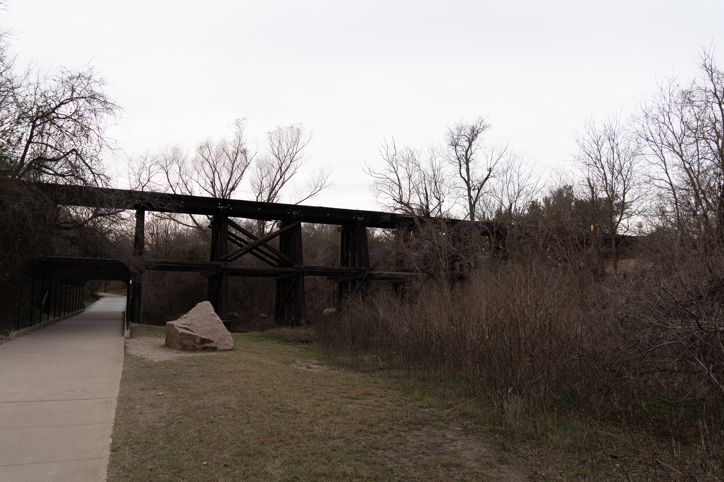 DSC00194.png