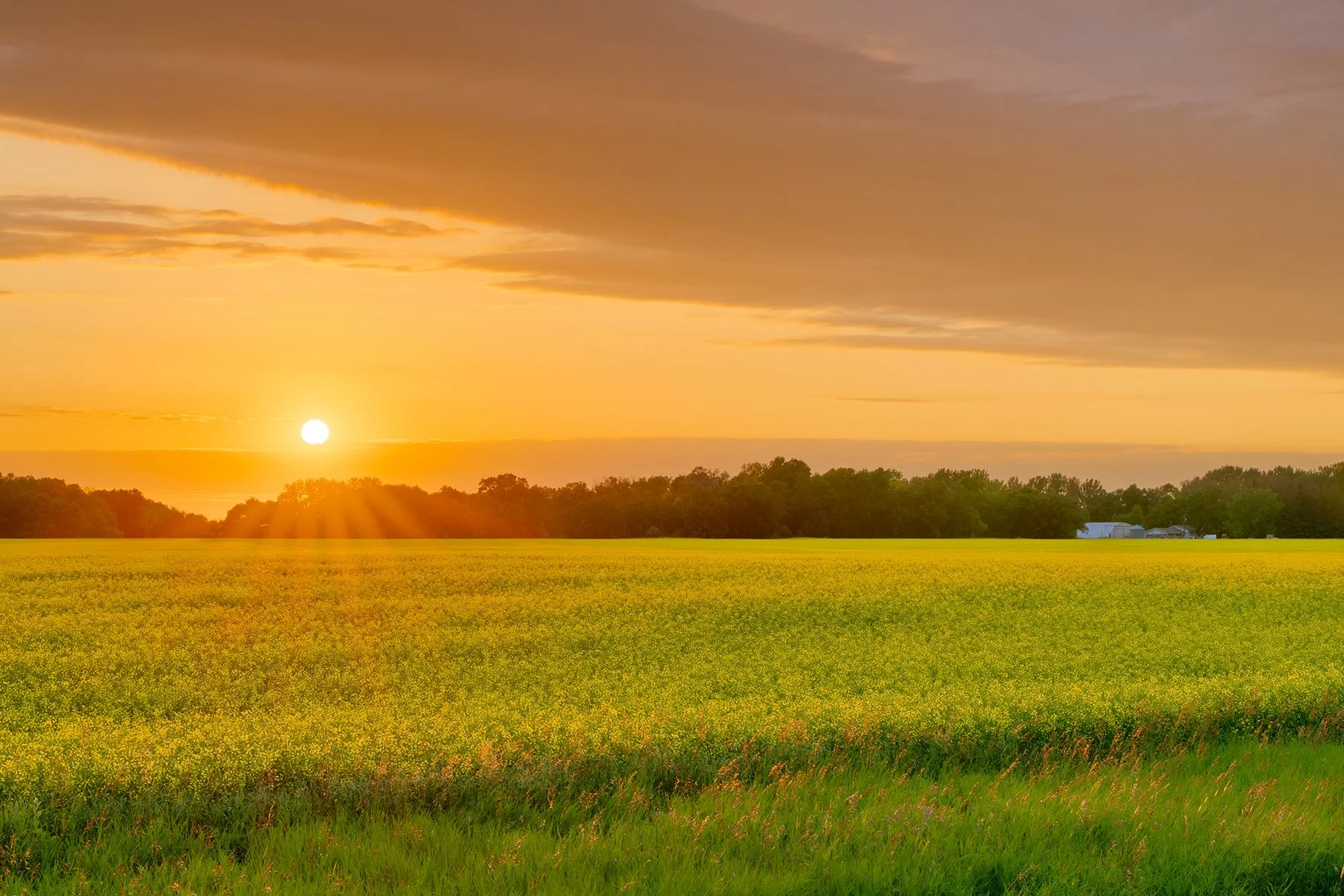 Community Financial is honoured to operate on Treaty 1 territory.