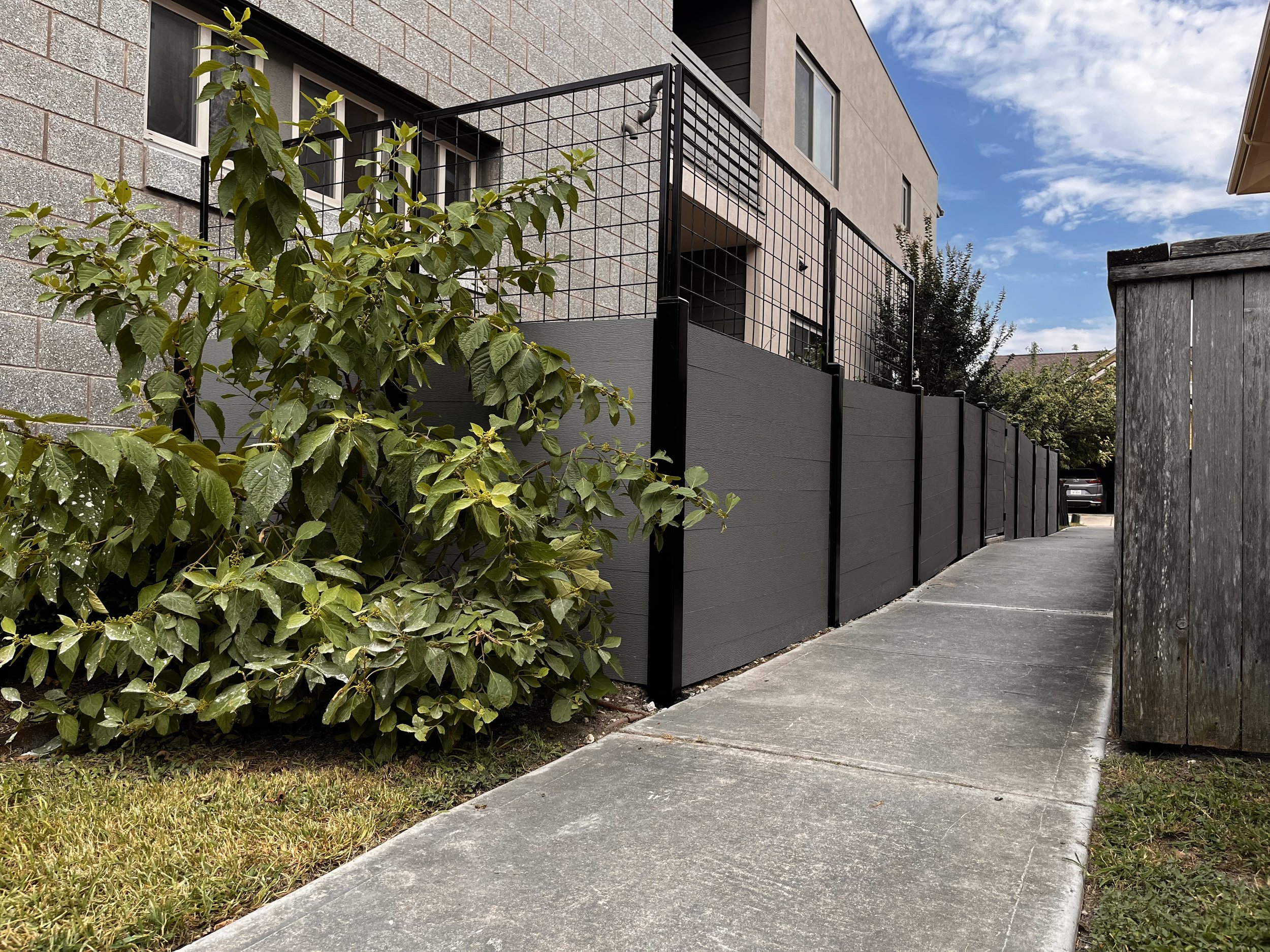Steel Trellis