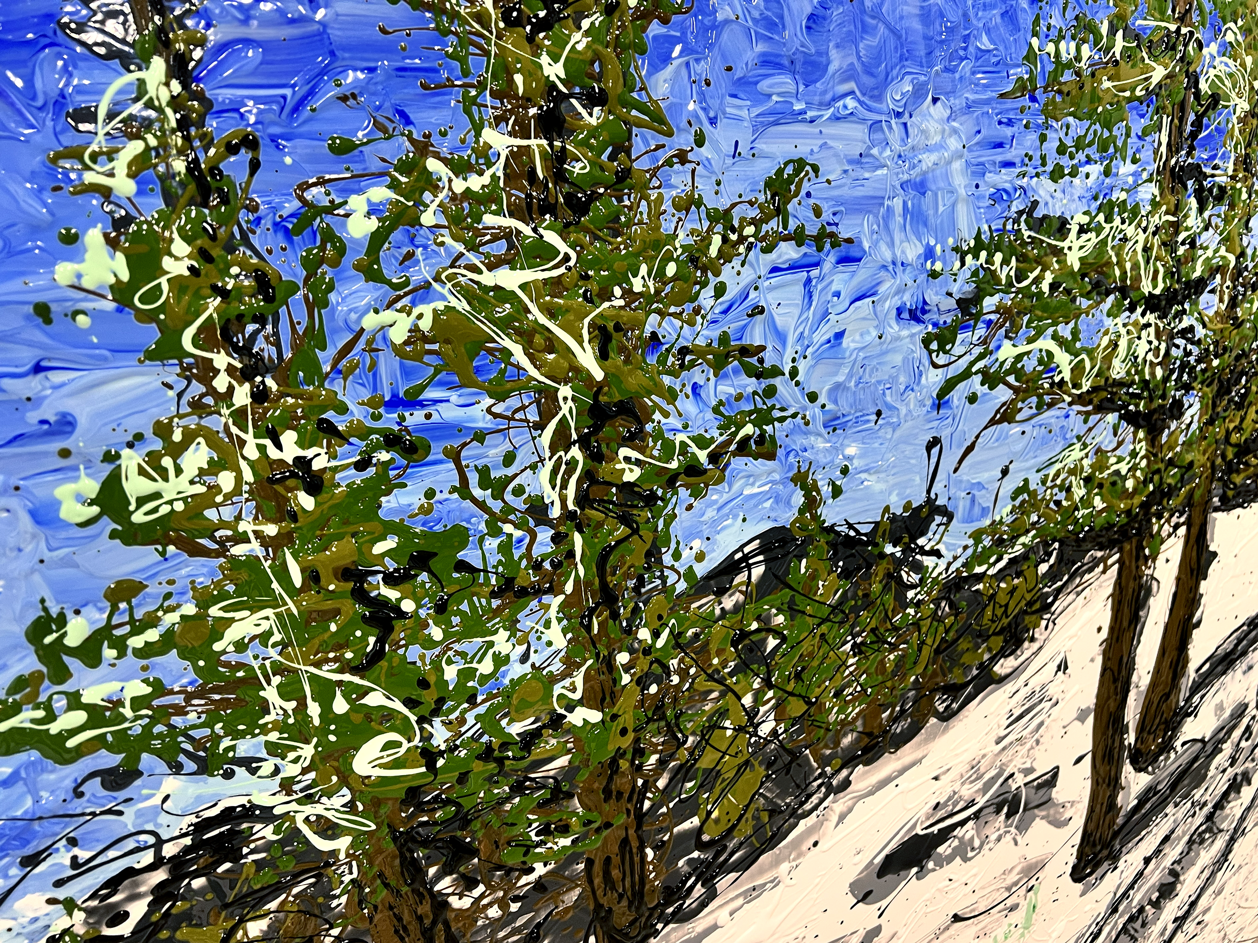 IMG_0698.png