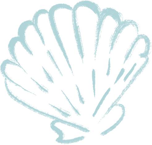 scallopshell.png
