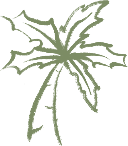 palmtree.png