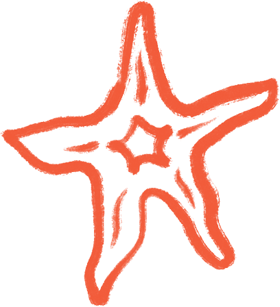starfish.png