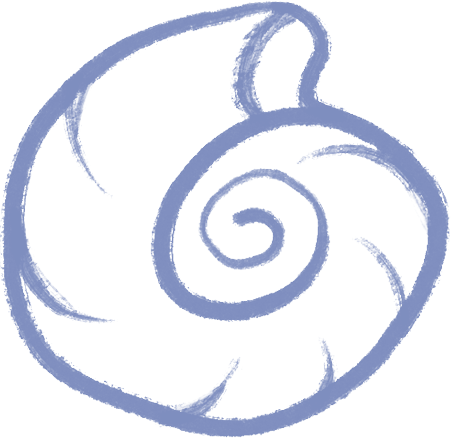 seashell.png