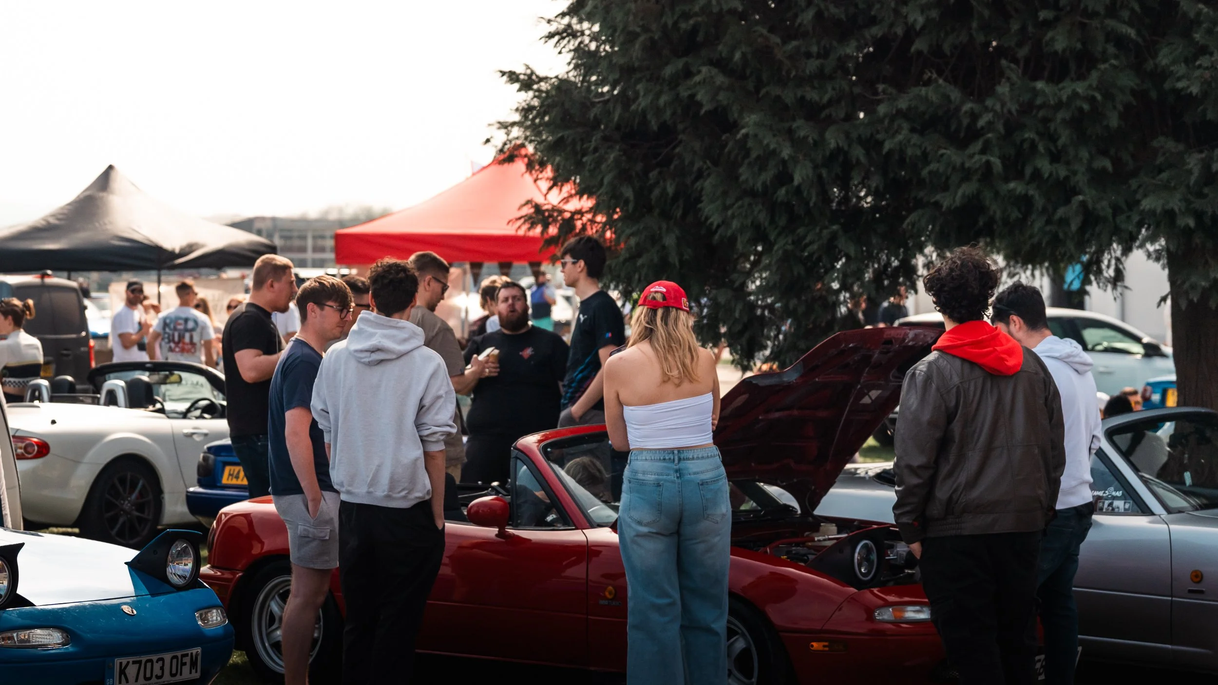 Group of people gathered around cars at a car show, some cars with hoods open, tents in the background, and a large tree on the right side.