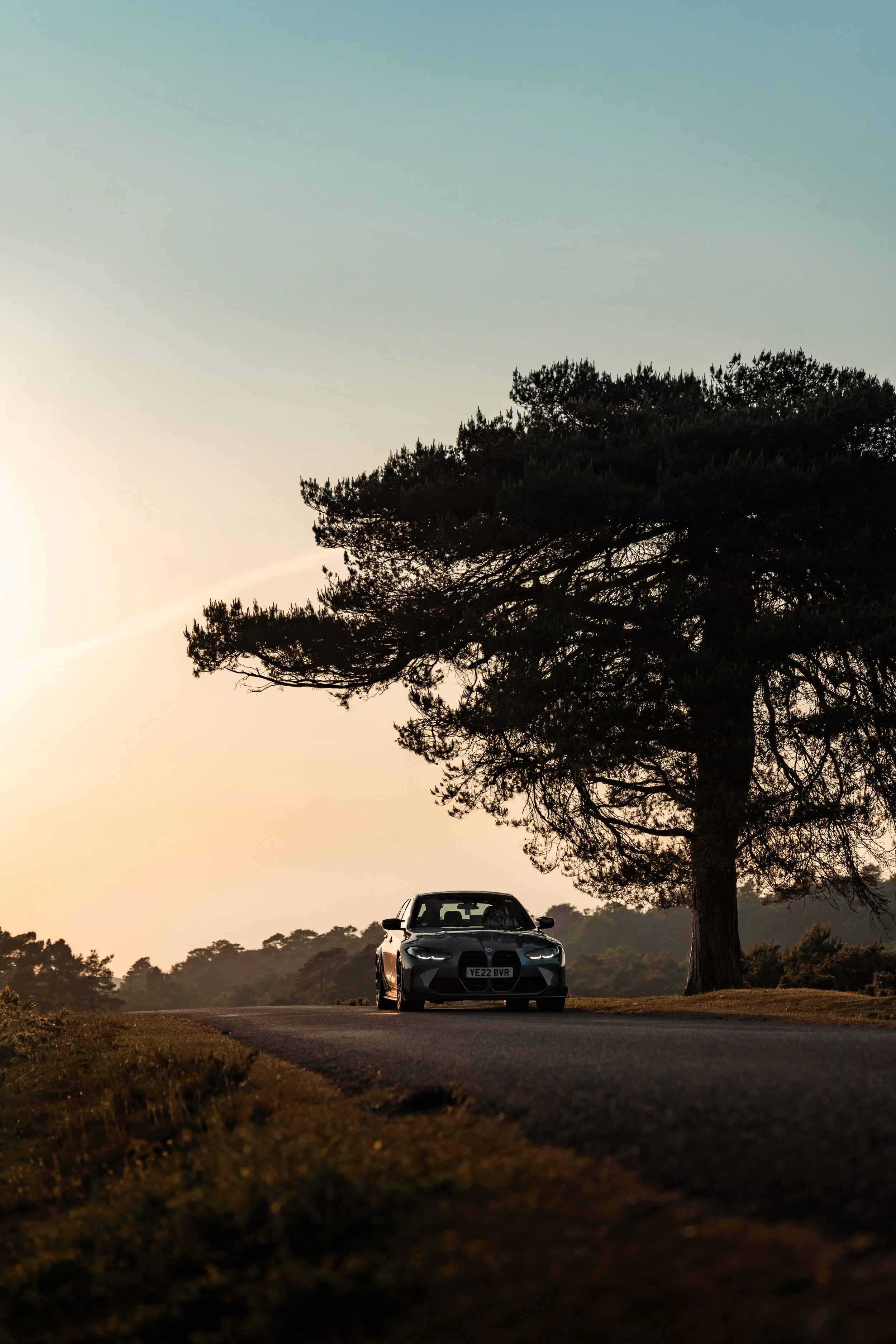 A black sports car parked on the side of a road next to a large tree, with a sunset or sunrise sky in the background and a row of trees in the distance.