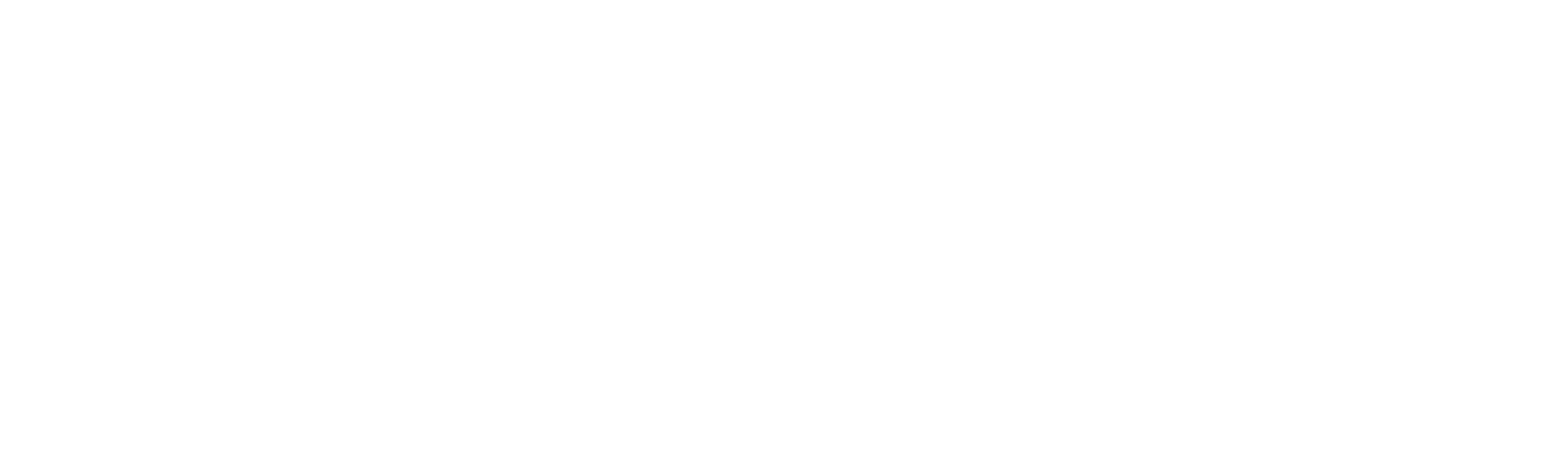 Guzman GC 