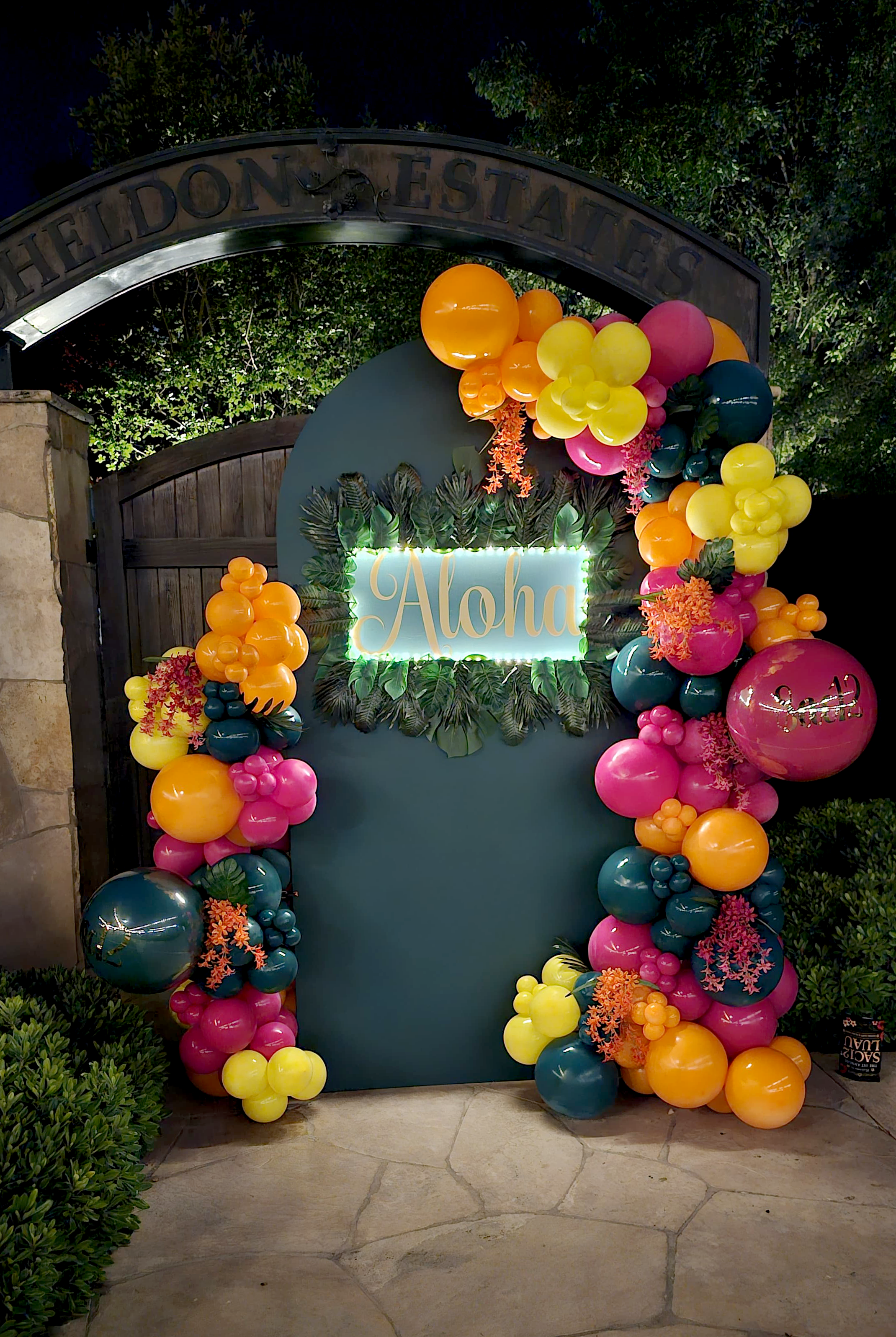 Heavenly Balloons Backdrop (16) 2.png