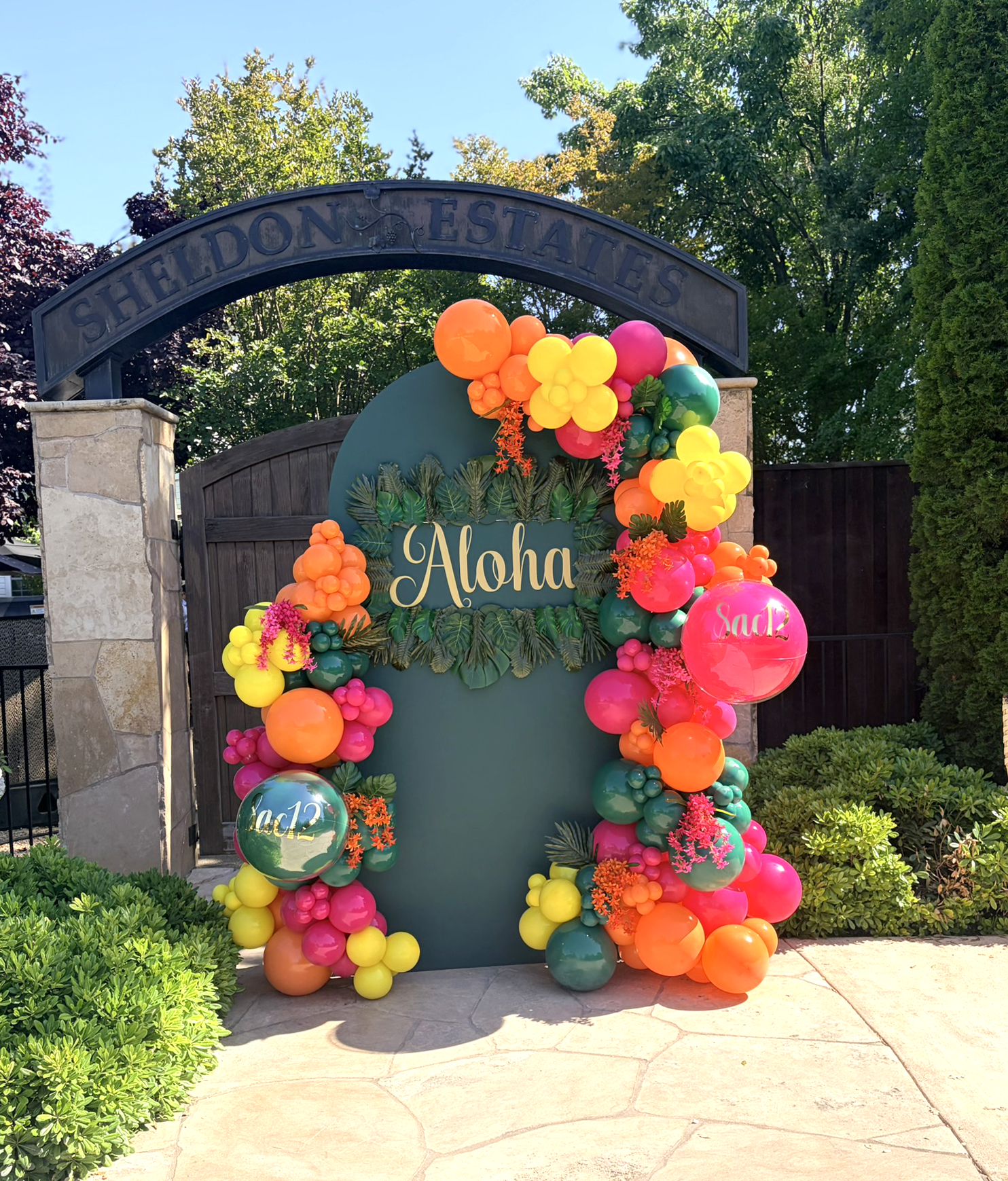 Heavenly Balloons Backdrop (16) 1.png