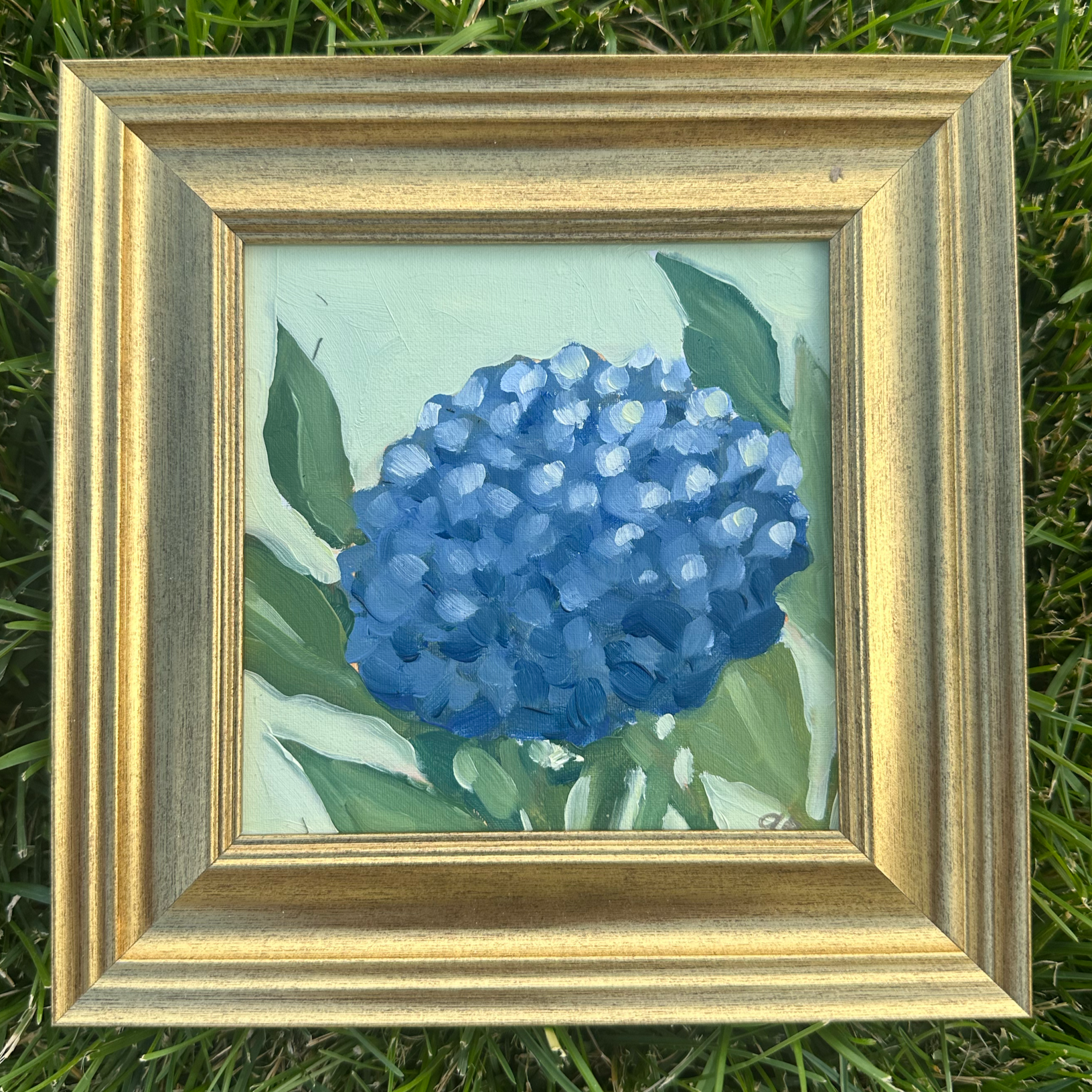 Original "Hydrangea"