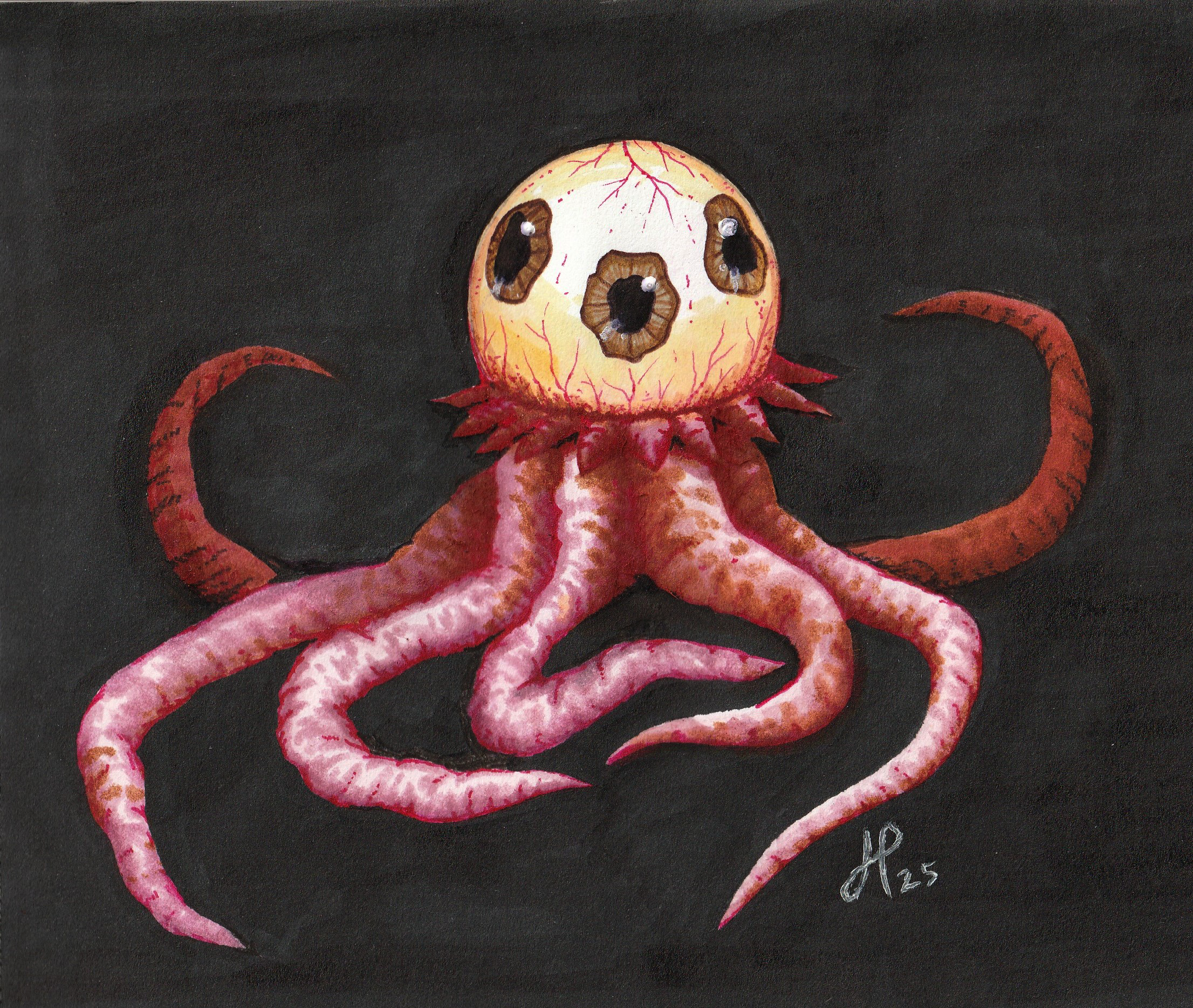 T. Ocellus- Illustration