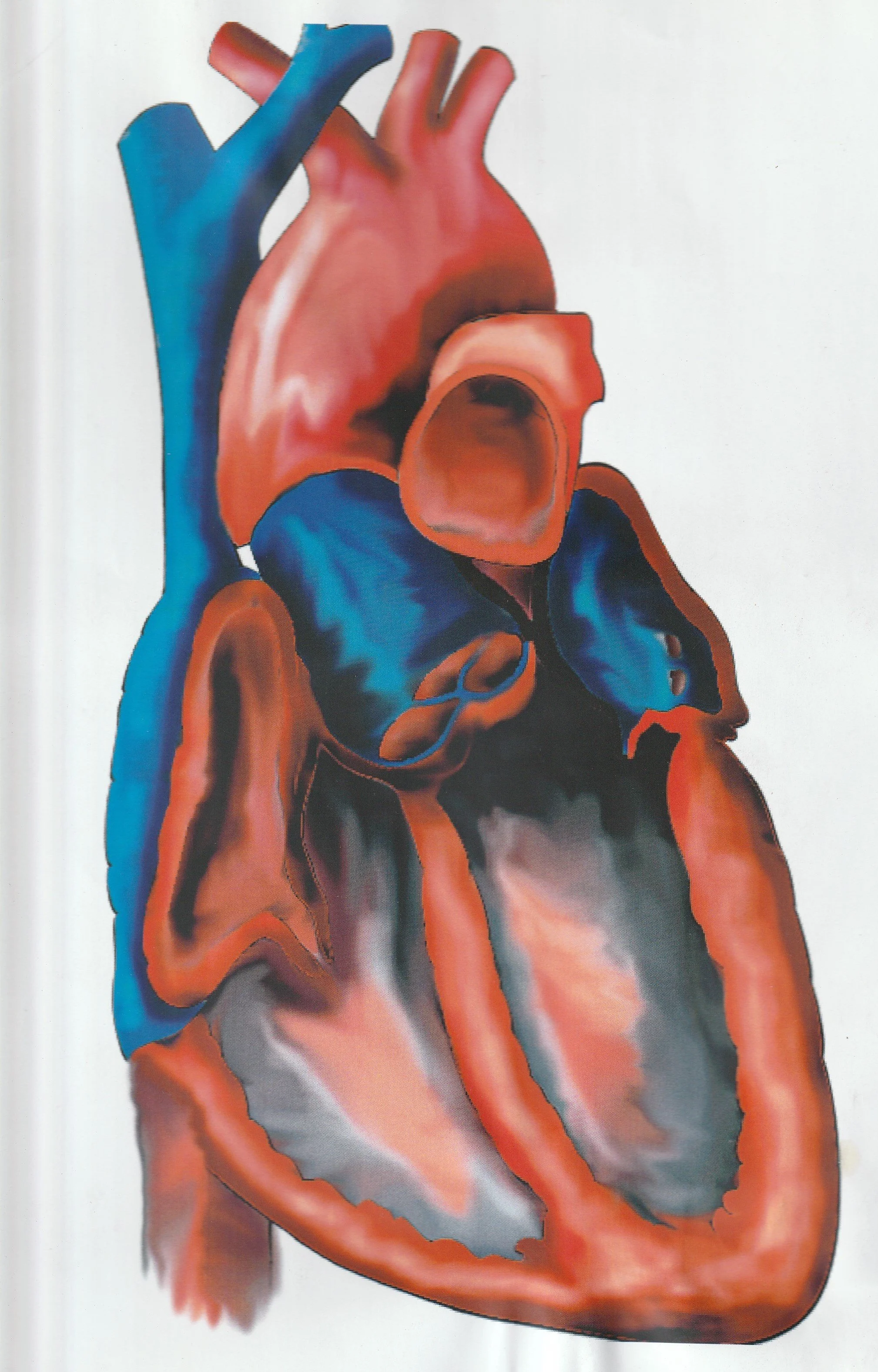 Heart- Digital Art