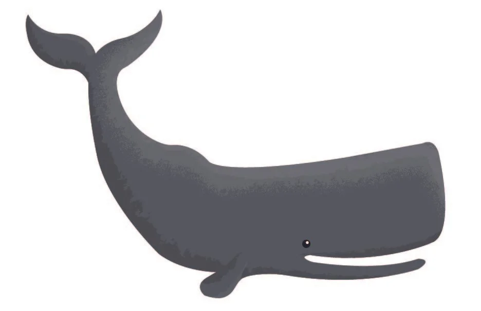 Whale Mural-Digital Illustration