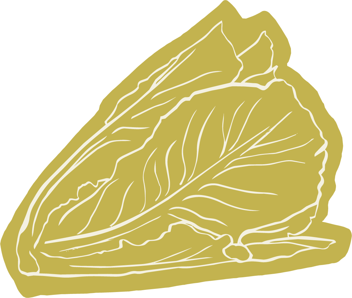 Line drawing of a lime wedge for naturopathic doctor brand