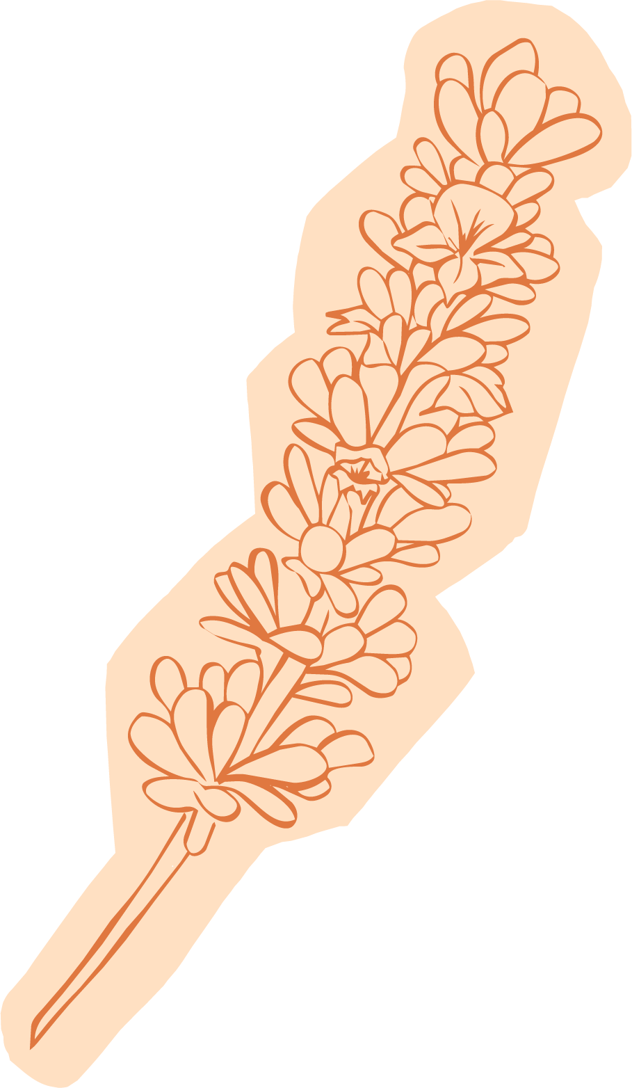 Illustration of a hand holding a branch with multiple flowers for naturopathic doctor brand