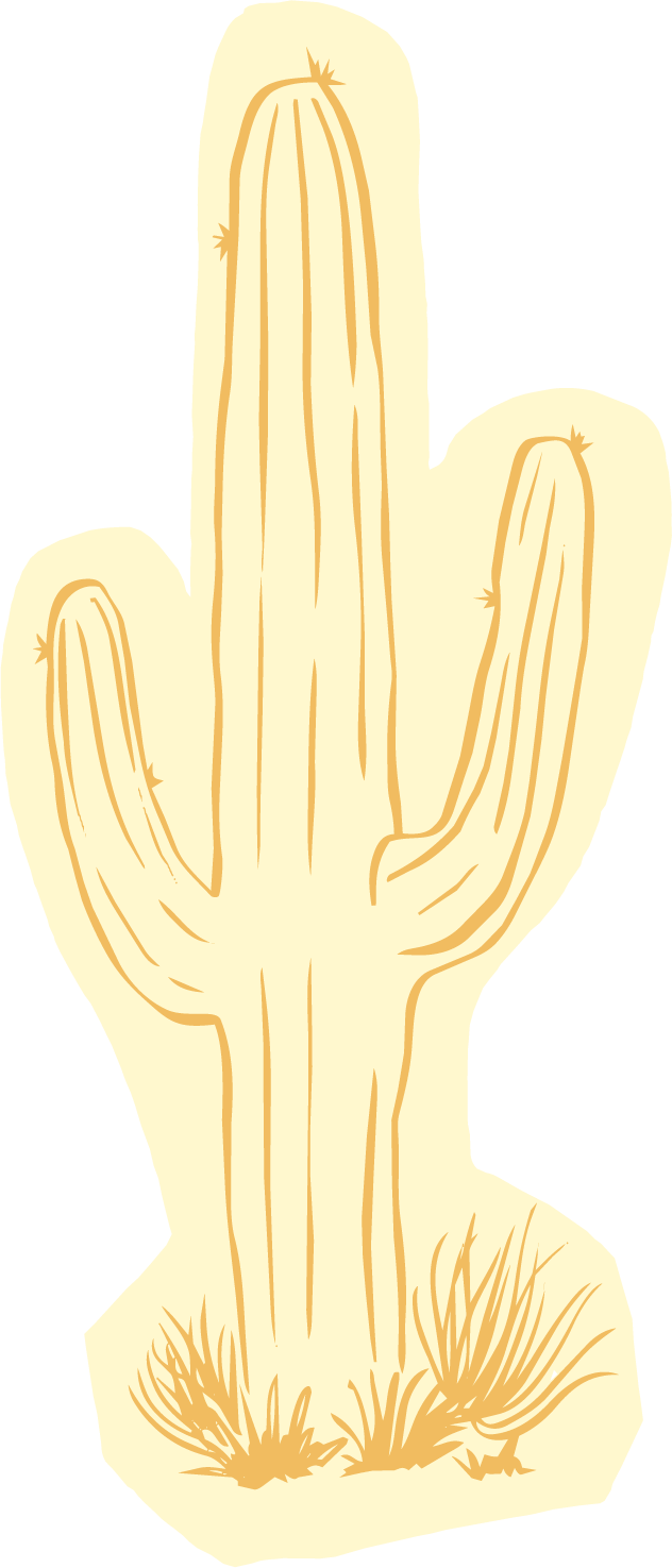 A simple illustration of a beige cactus with three arms, standing on a small patch of ground with some grass for naturopathic doctor brand