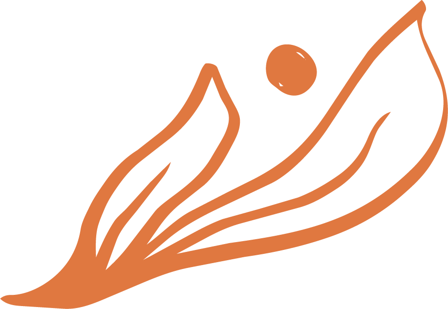 Stylized abstract design featuring a leaf and a small circle, resembling a minimalistic natural motif in earth tones for naturopathic doctor brand
