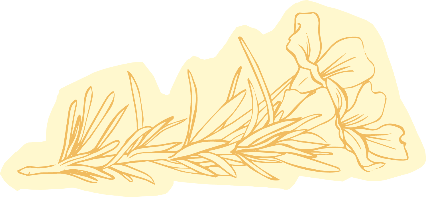 Illustration of a botanical drawing with a flower and leaves in shades of beige and light brown for naturopathic doctor brand