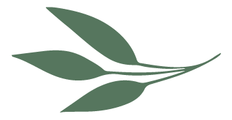 A silhouette of a branch with leaves.