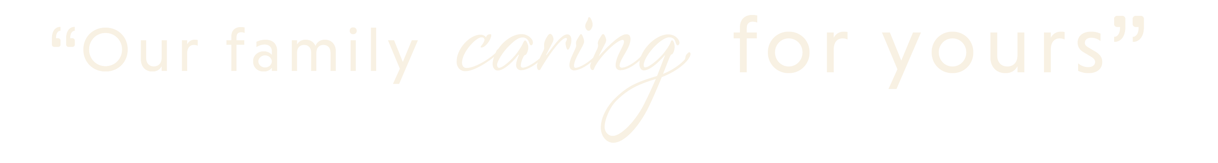 Brand quote that says "Our family caring for yours".