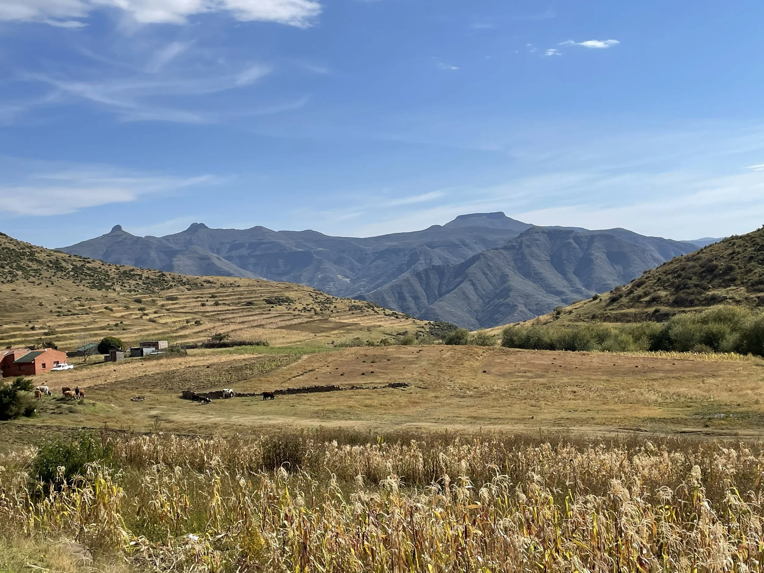 Landscape of mountains with grassy fields and small houses in the foreground, under a blue sky with some clouds.