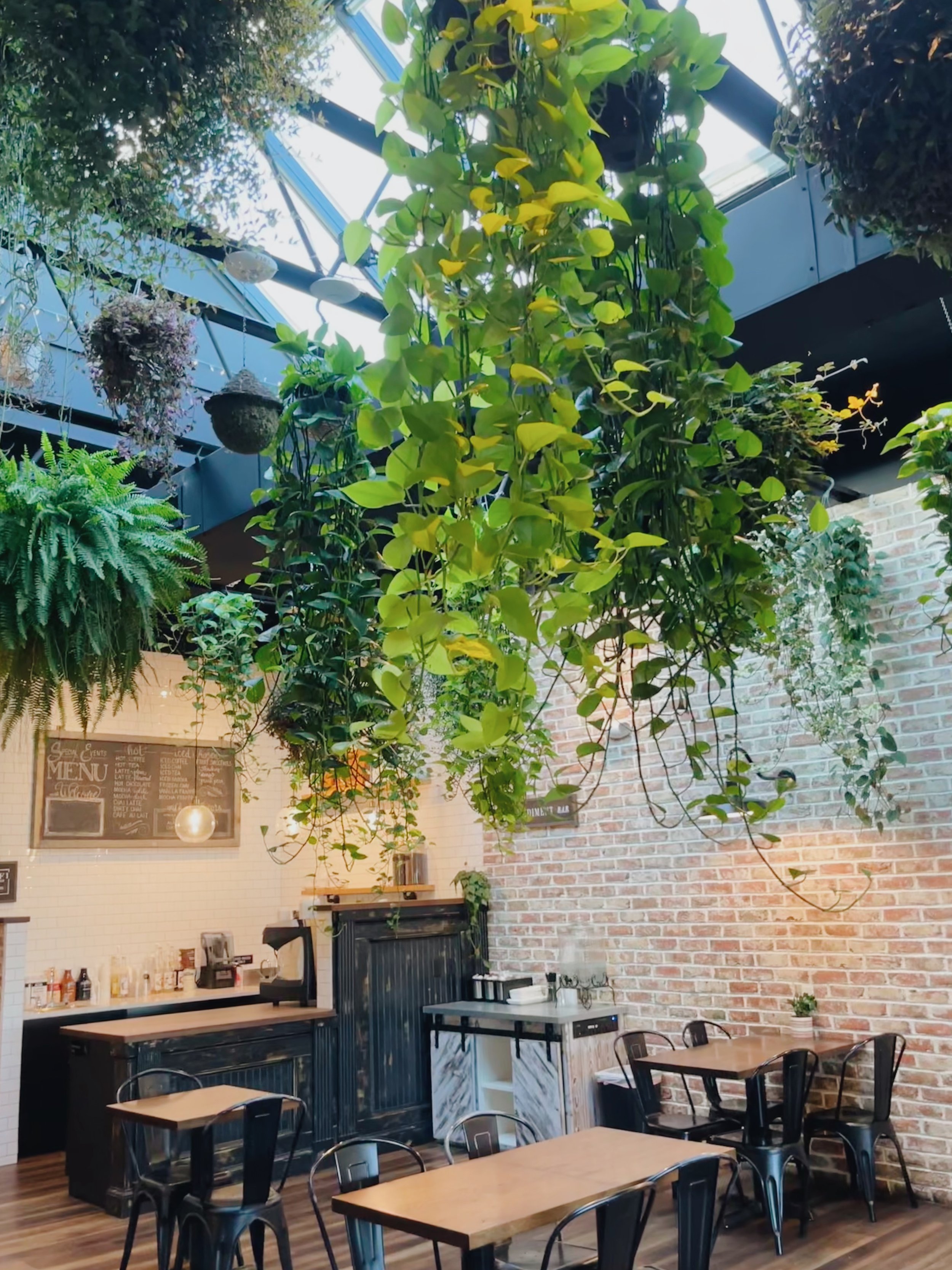 Interior of a cafe or restaurant with hanging plants, a brick wall, and wooden tables and chairs.