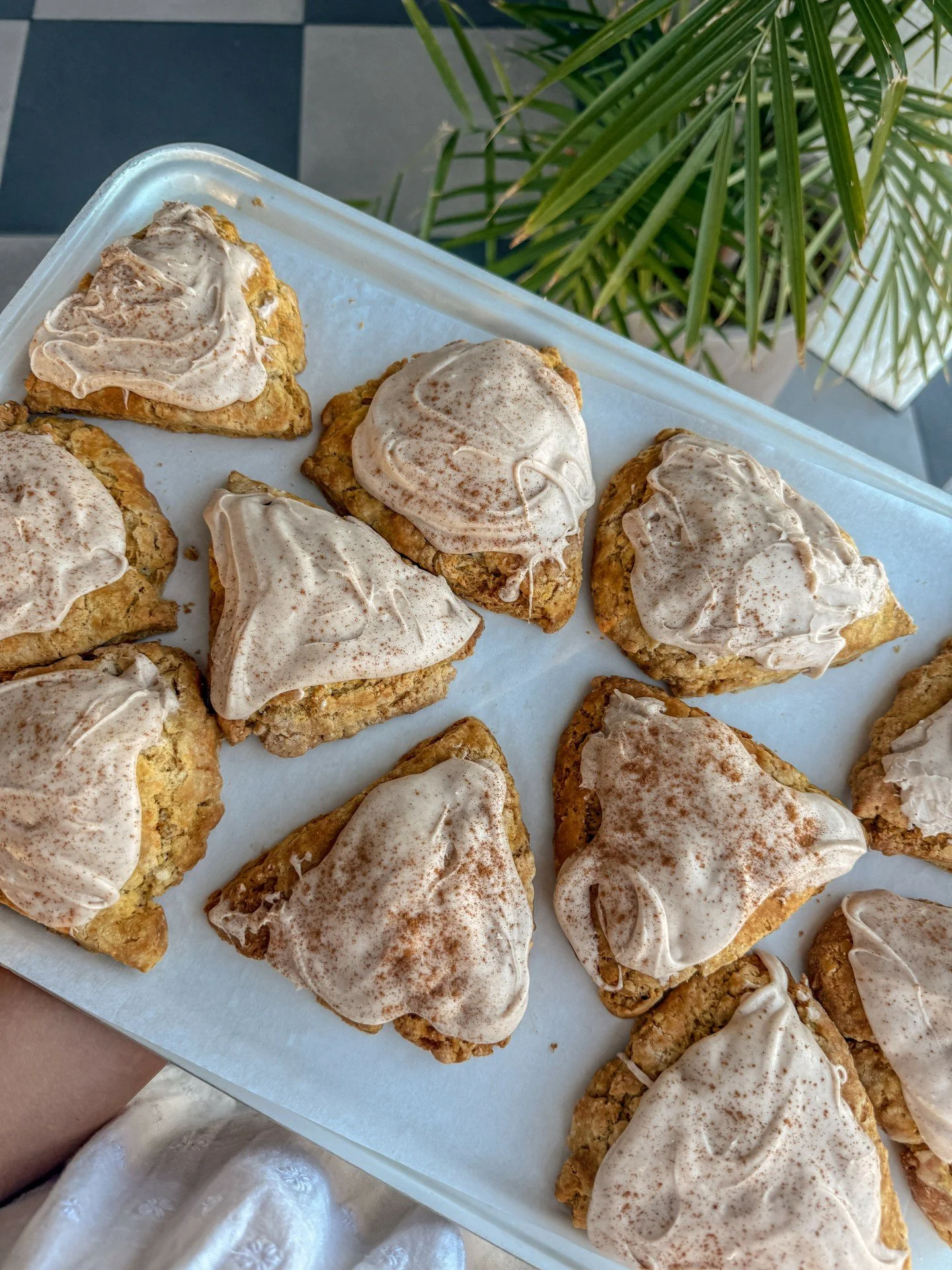A moment for these pumpkin spice scones 😍😍