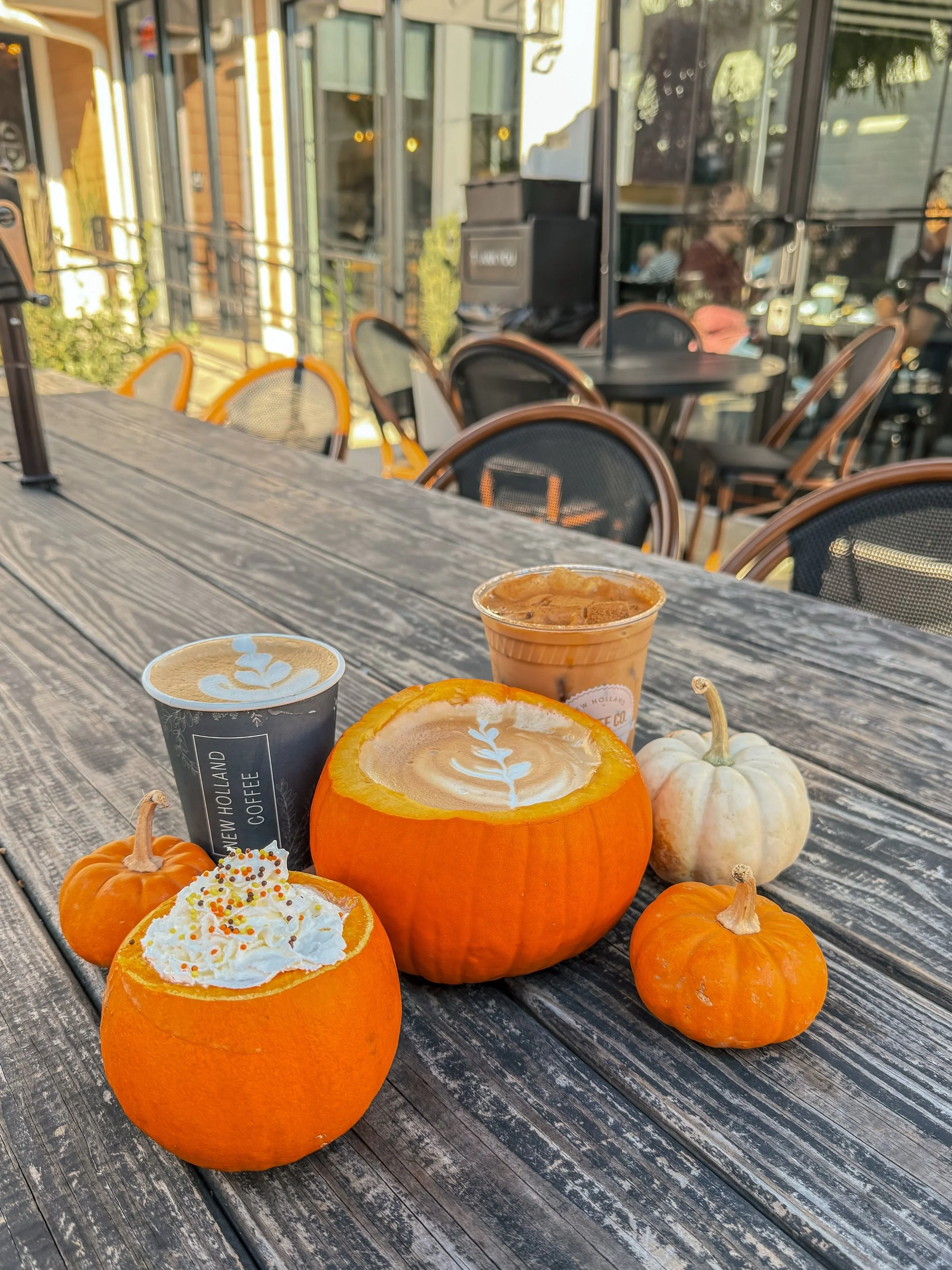 You asked, we listened! 🎃 Tomorrow only, Friday, October 30th, bring in a SMALL, hollowed-out pumpkin and we&rsquo;ll fill it with a hot or iced pumpkin spice latte at no cost!