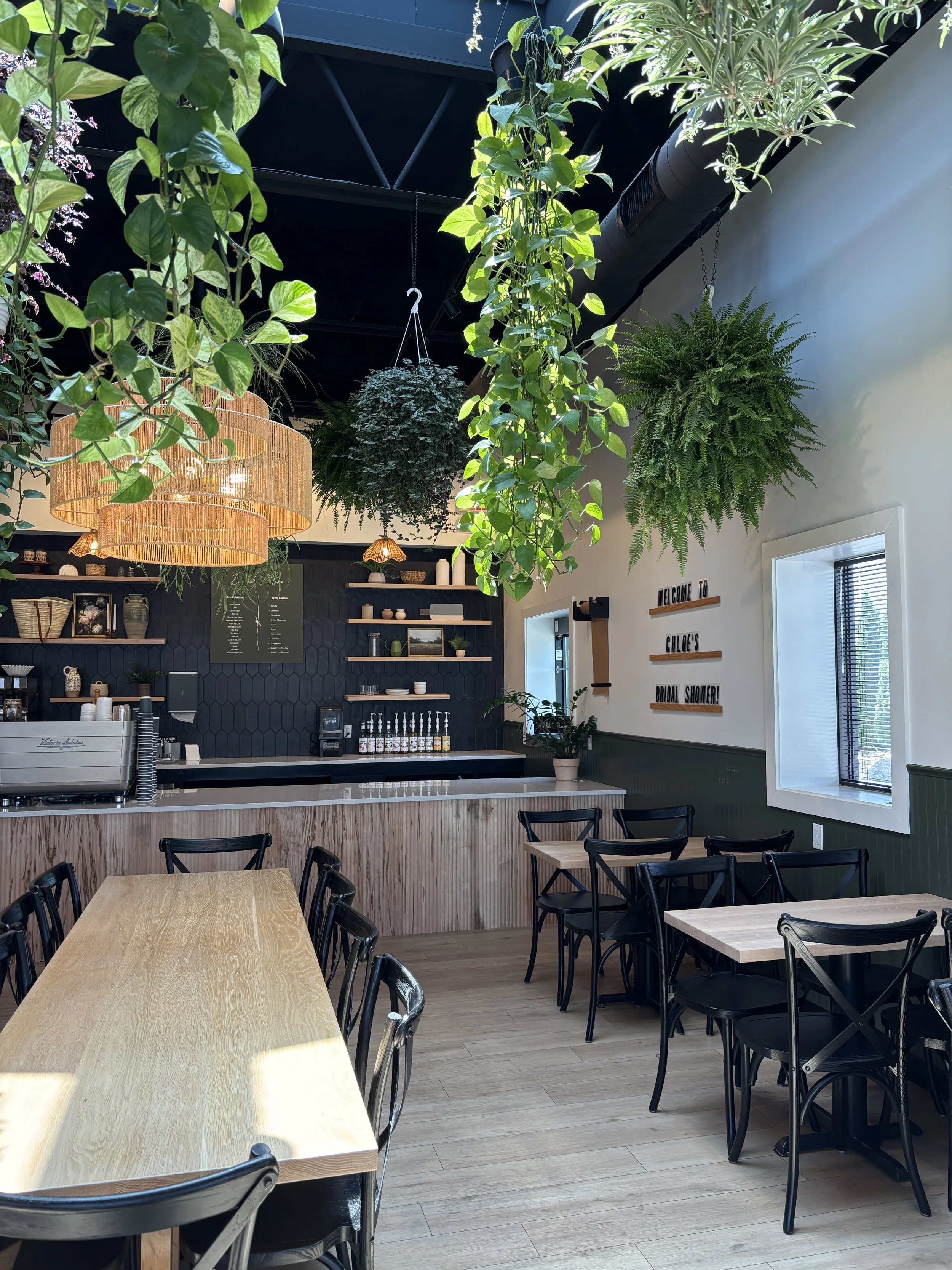 Interior of a cafe with wooden tables, black chairs, hanging plants, and a dark blue wall with open wooden shelves and a menu sign.