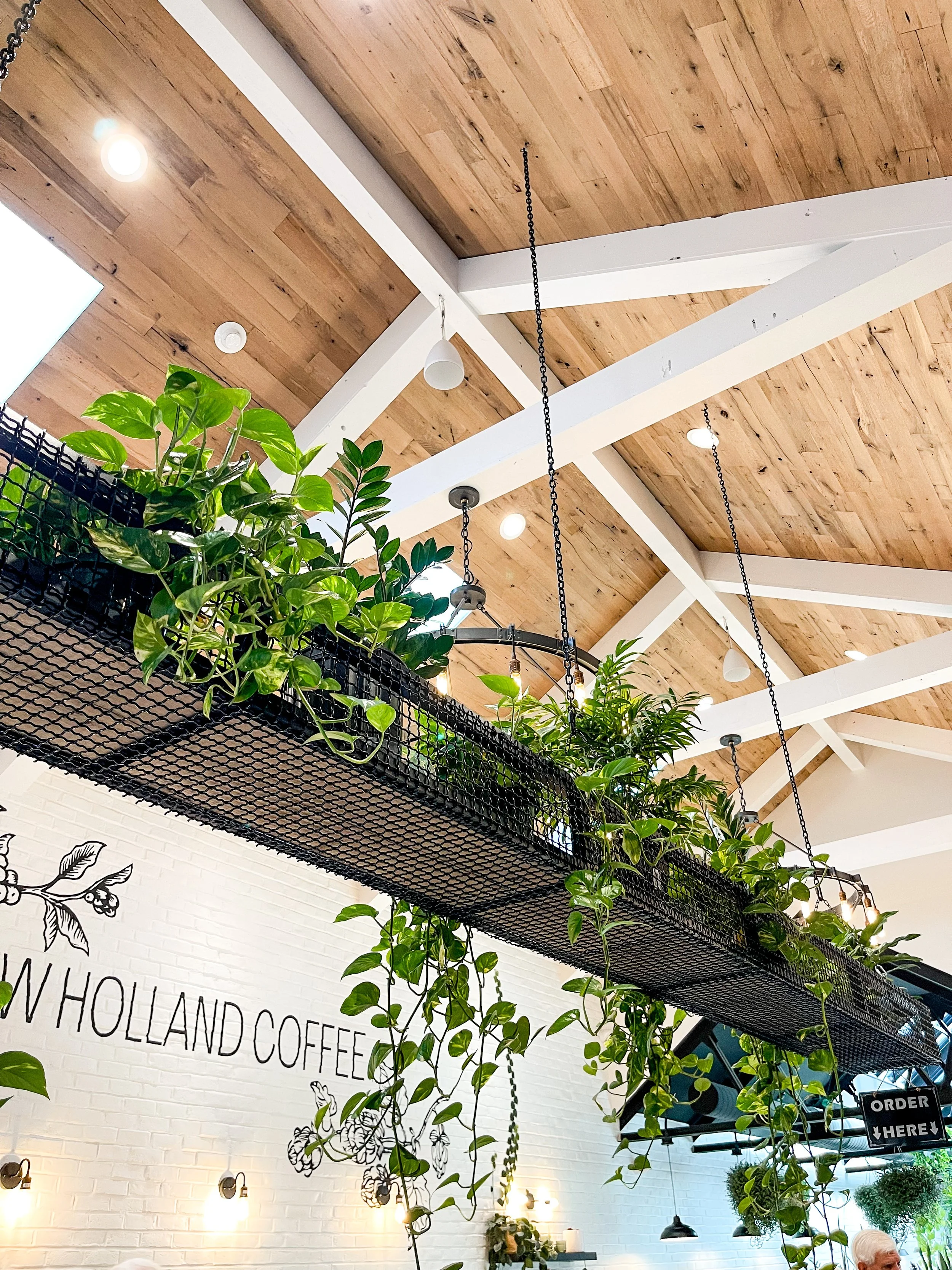 Interior of a coffee shop with a wooden ceiling, hanging greenery, and a white brick wall with the words 'HOLLAND COFFEE' printed on it, along with several lights and shop fixtures.