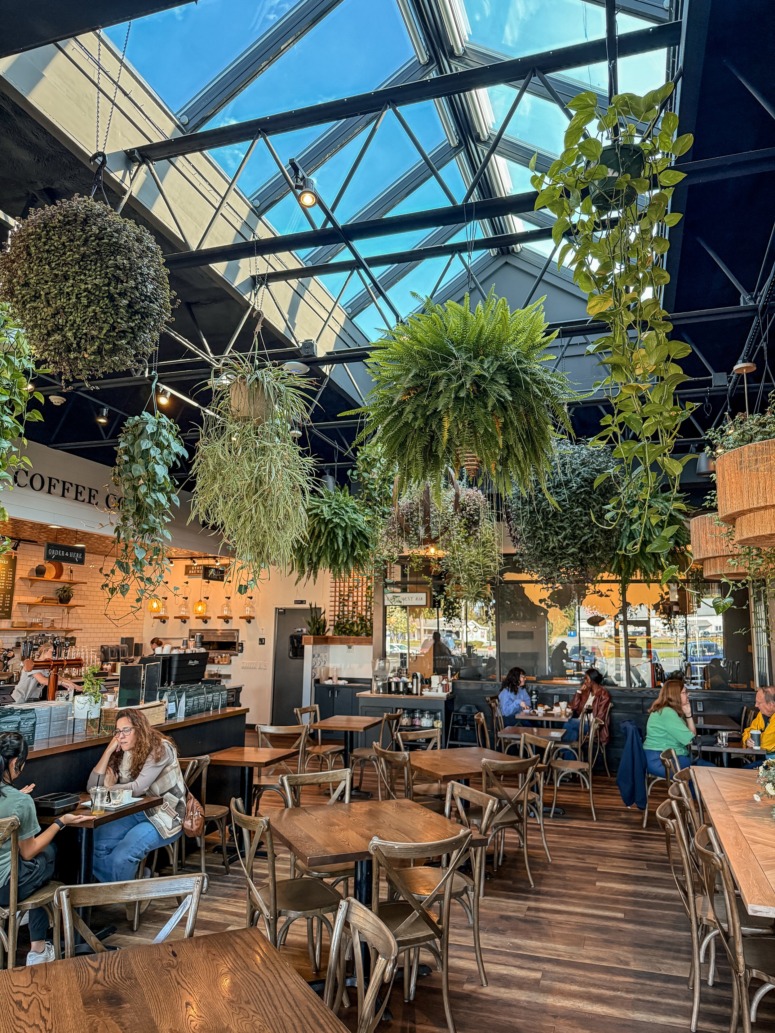 A busy coffee shop with natural light coming through a glass ceiling, decorated with various hanging and potted green plants, and filled with customers sitting at wooden tables and chairs.